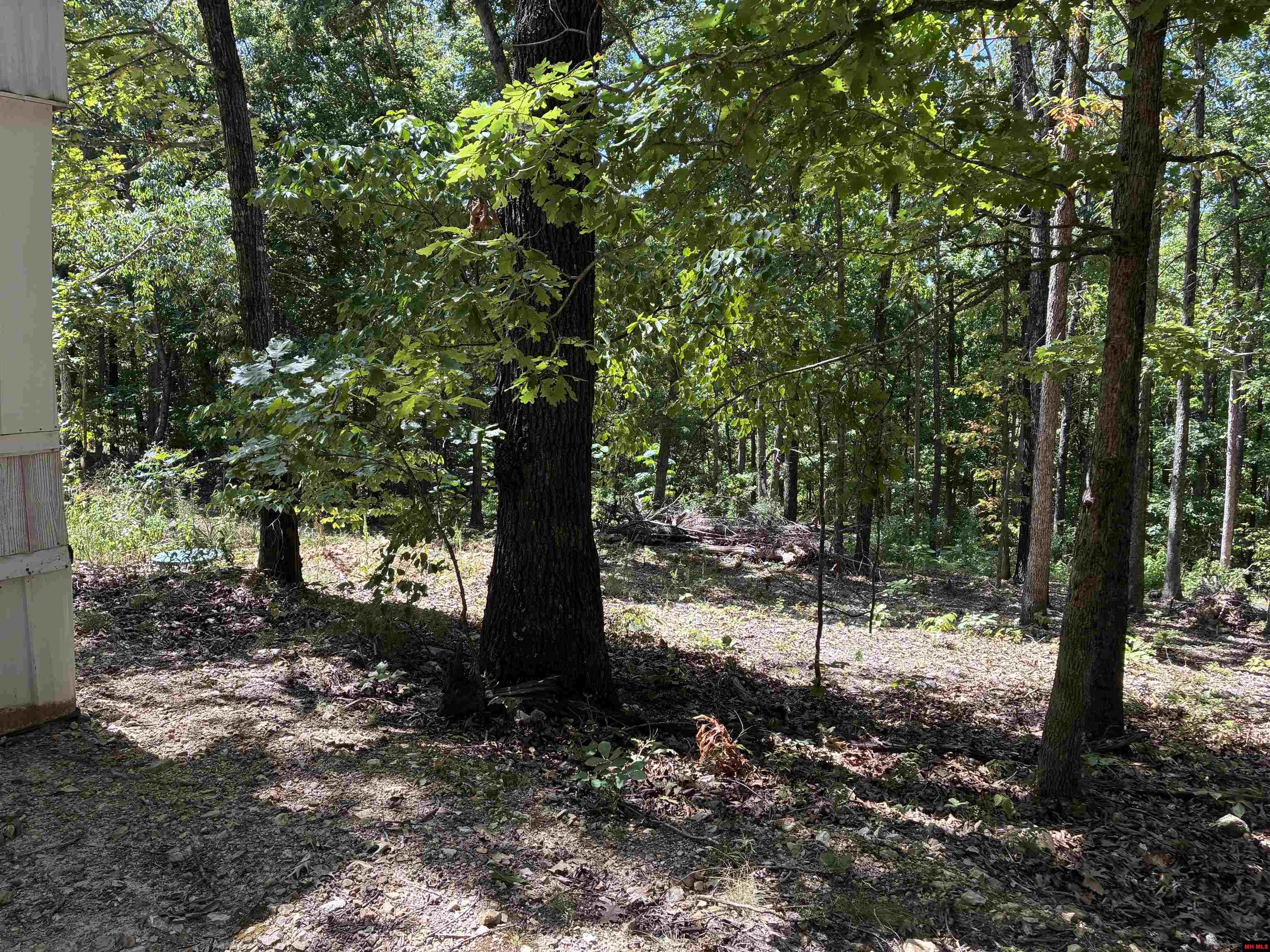 2662 MC 8050 Yellville, AR