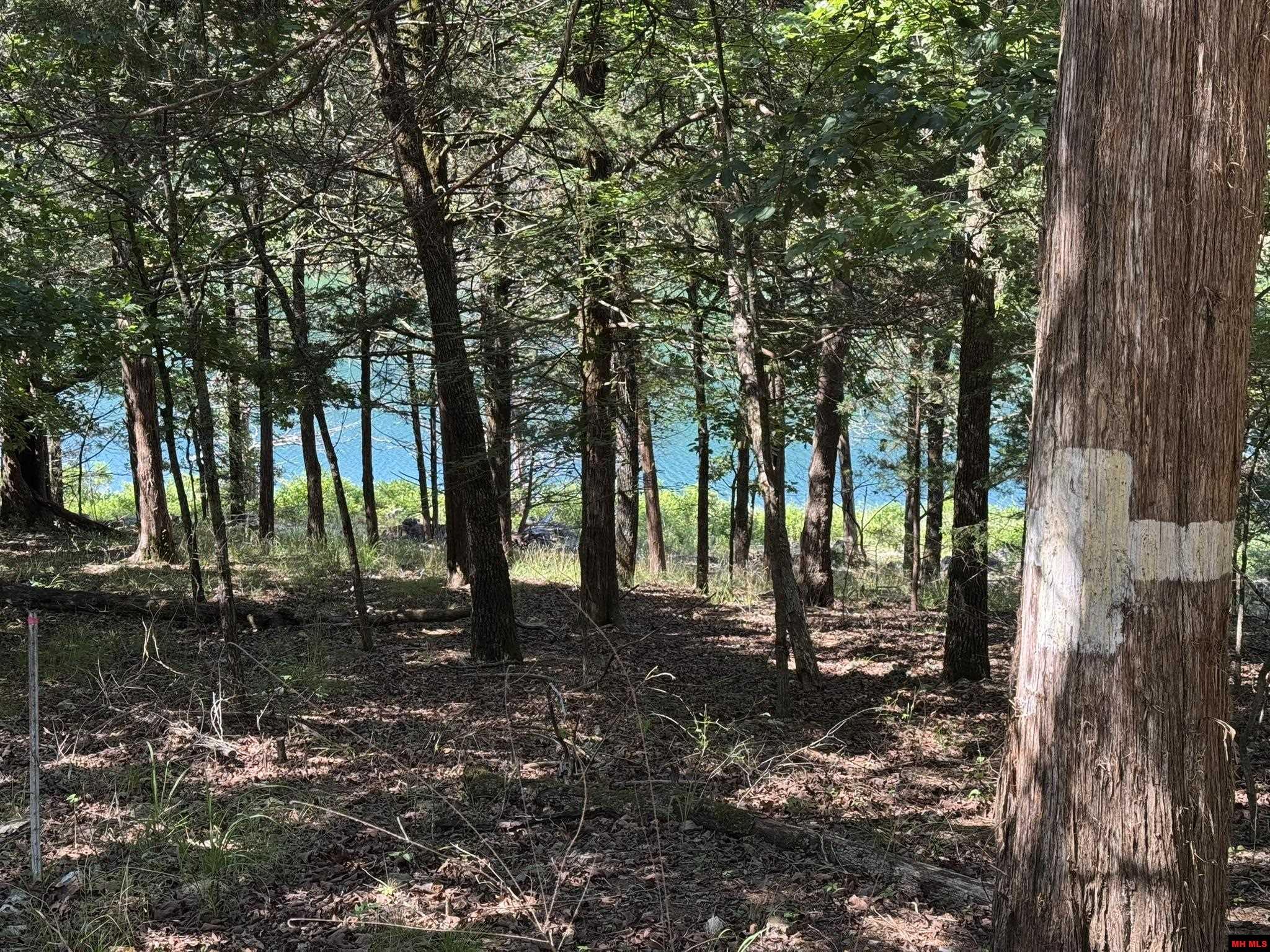200 MC 129 Oakland, AR