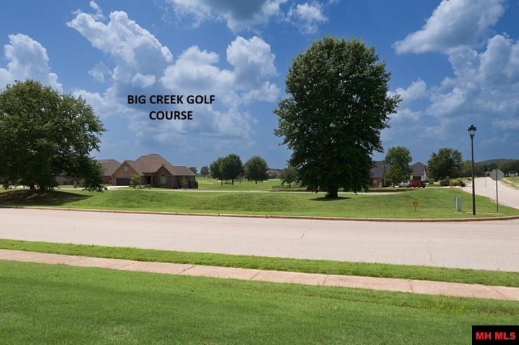 15 TURNBERRY COURT Mountain Home, AR