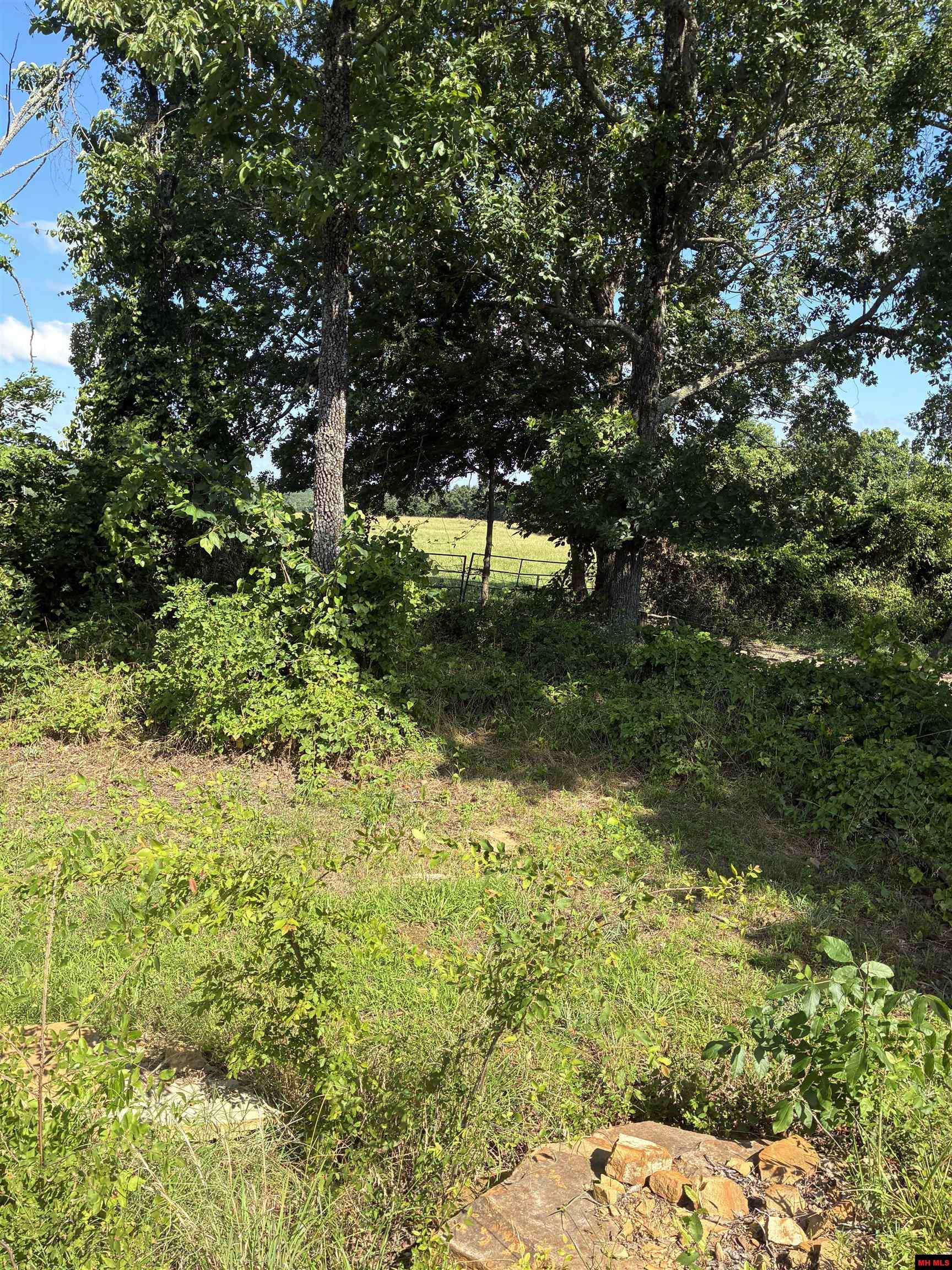 11099 HWY 14 Big Flat, AR