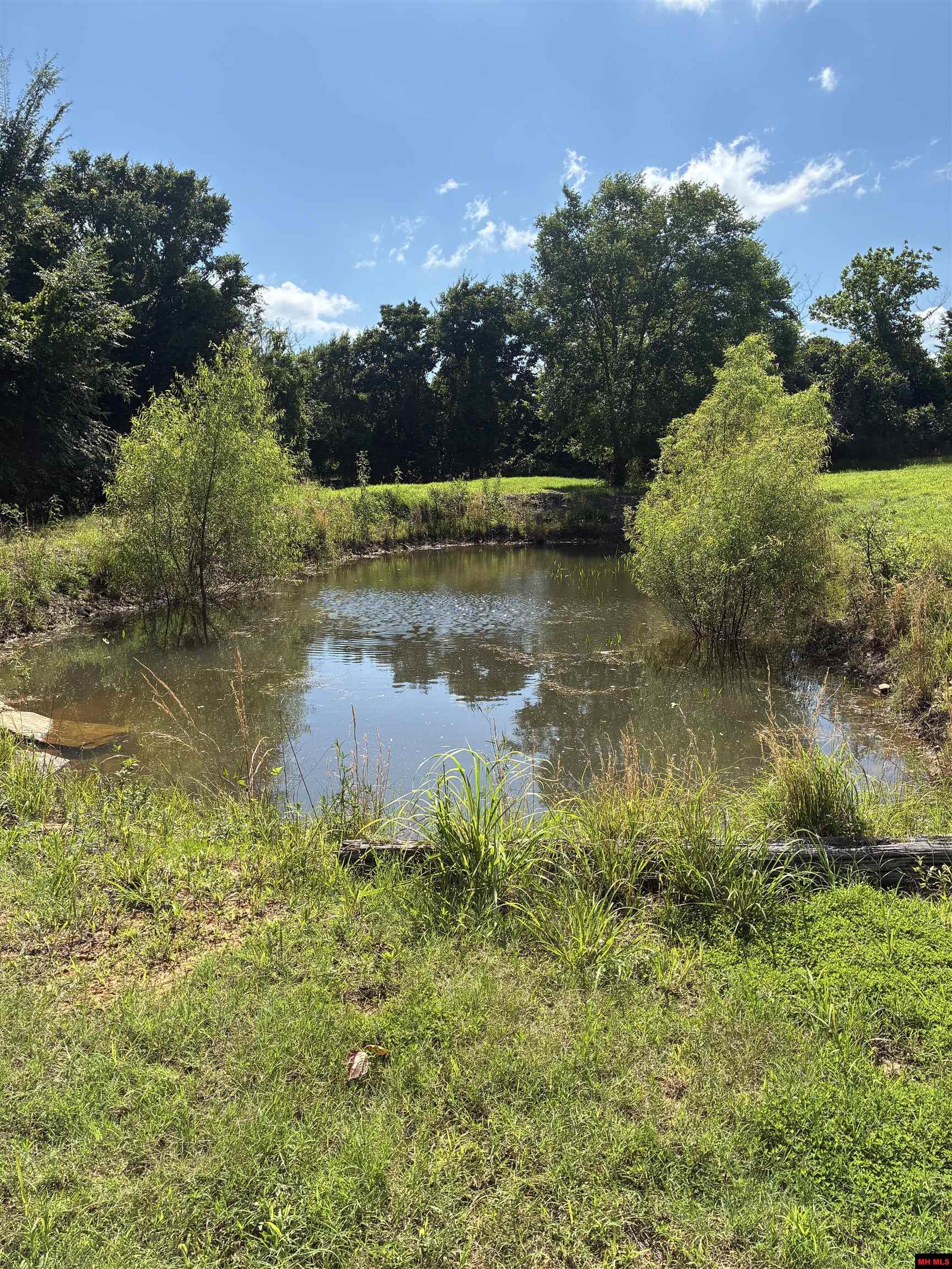 11099 HWY 14 Big Flat, AR