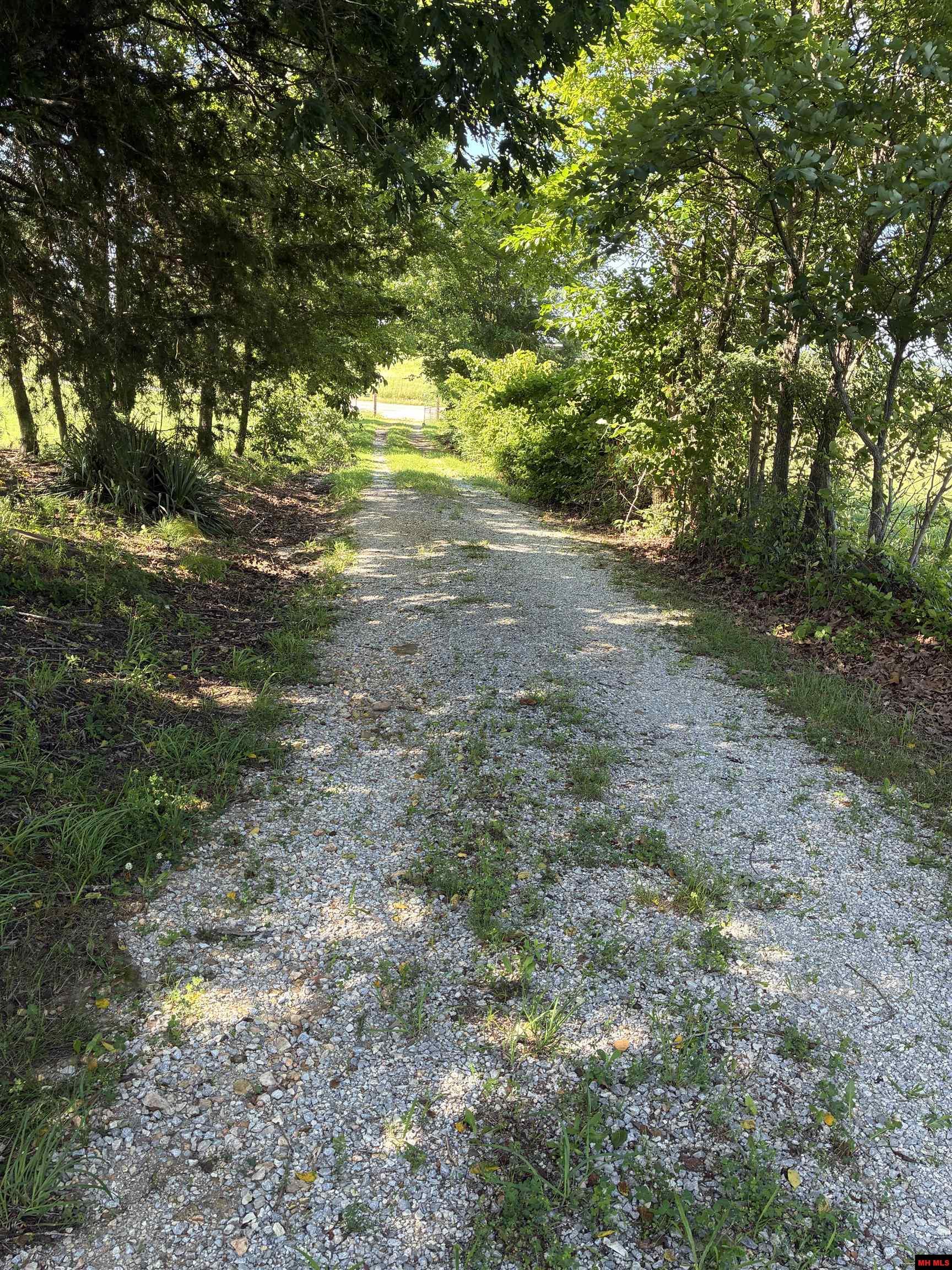 11099 HWY 14 Big Flat, AR