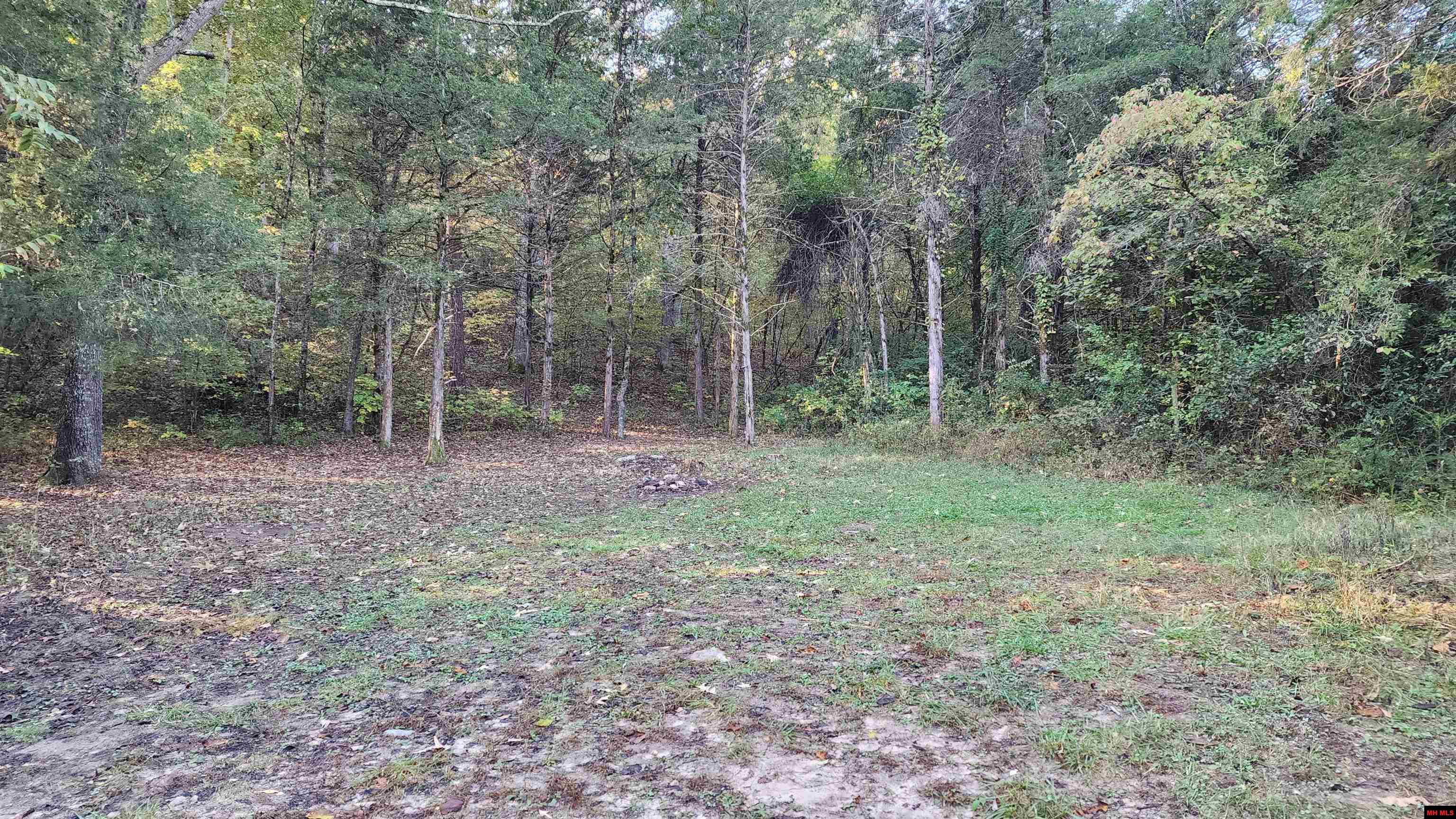 6901 MC 6061 Flippin, AR