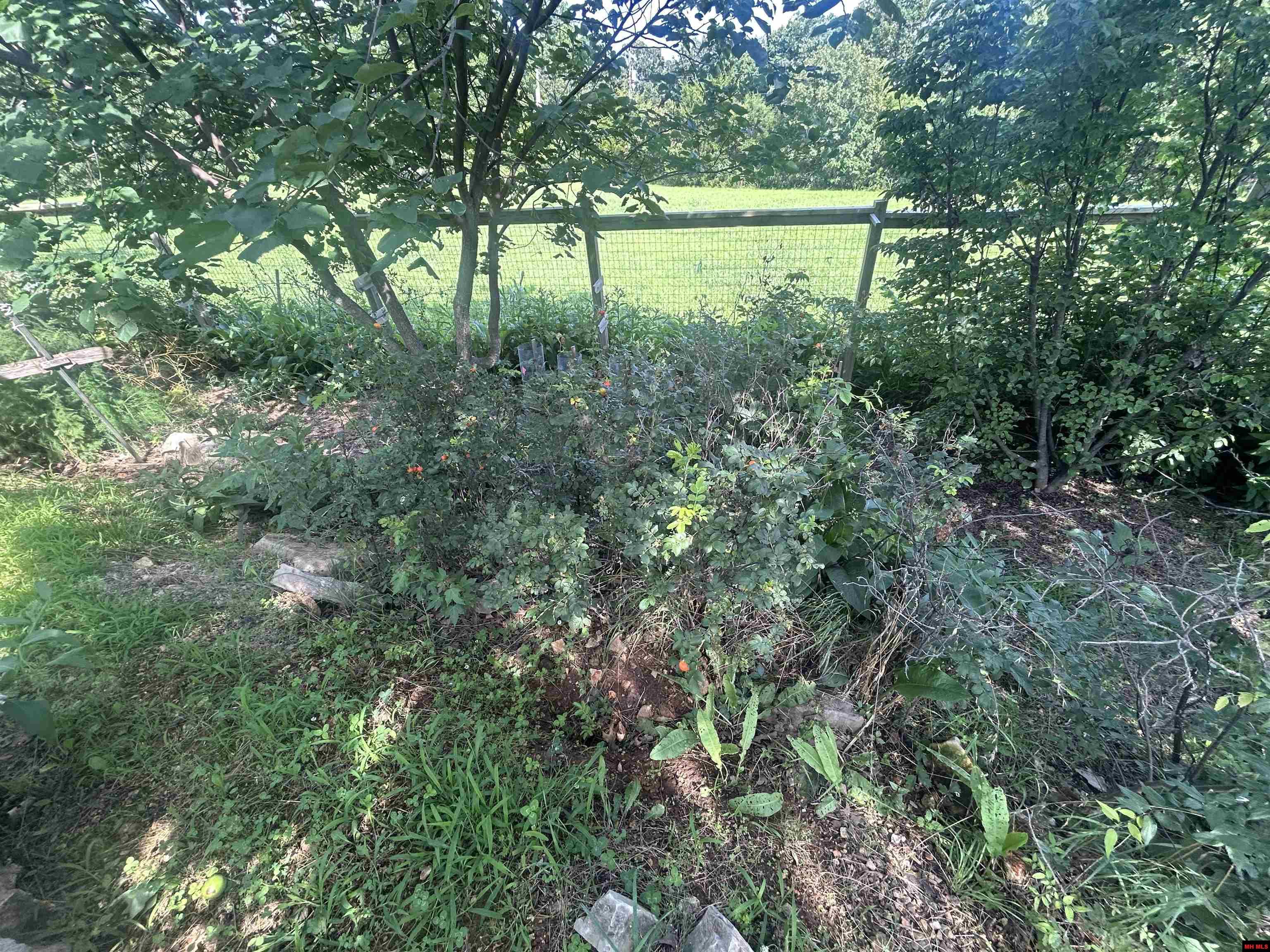 4 MC 8054 Yellville, AR 72687