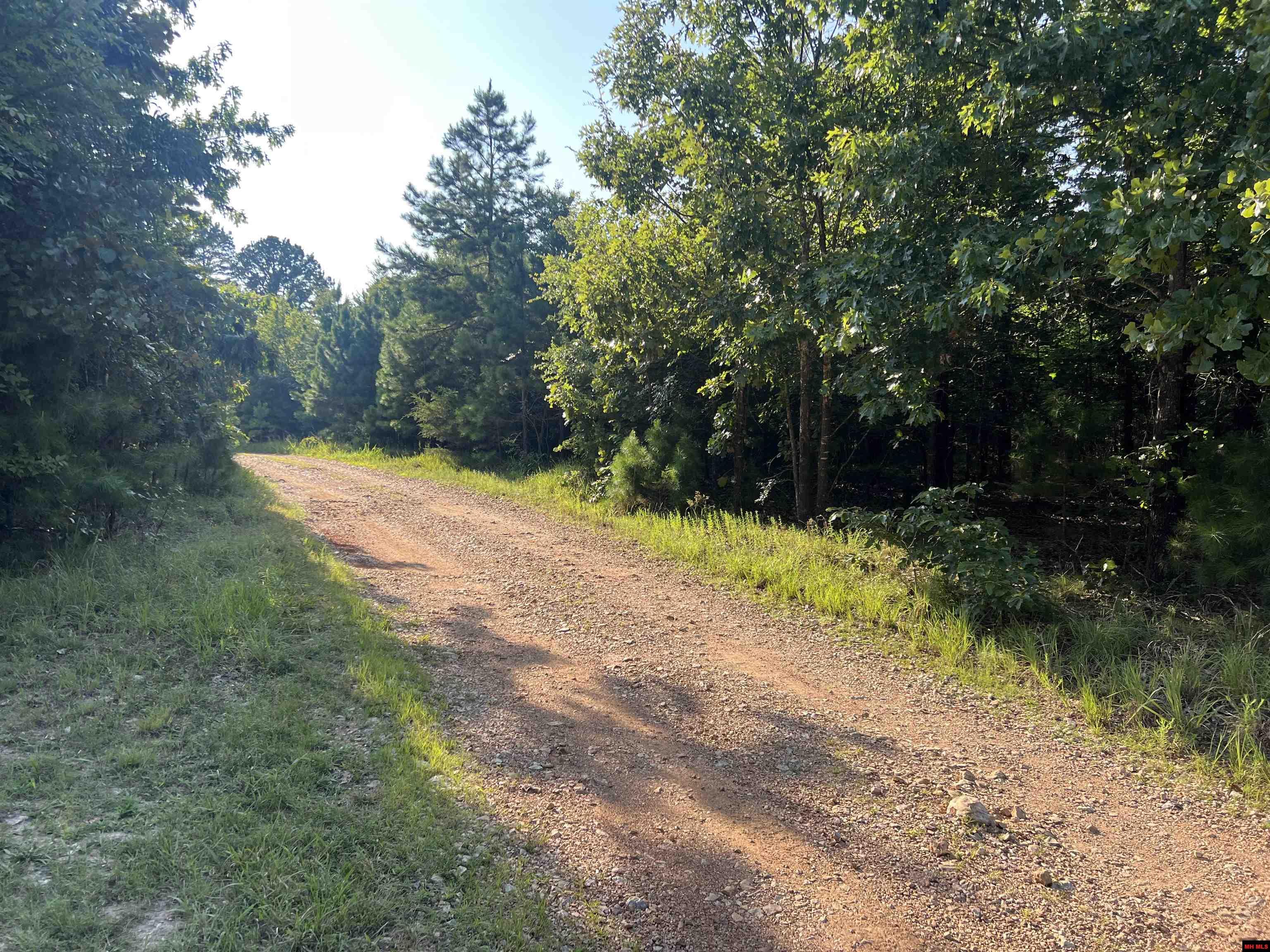 000 MC 8044 Yellville, AR 72687