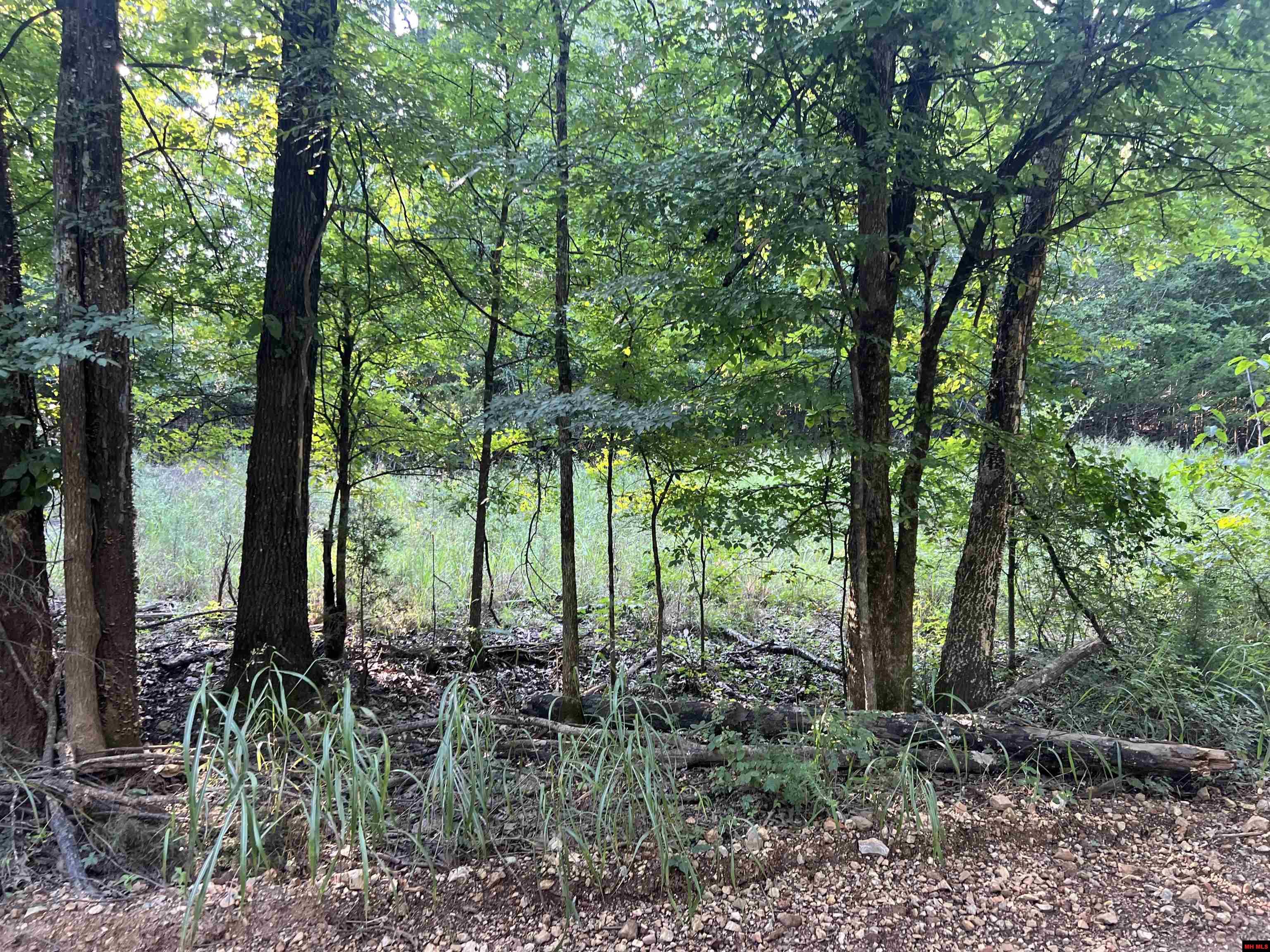 000 MC 8044 Yellville, AR 72687