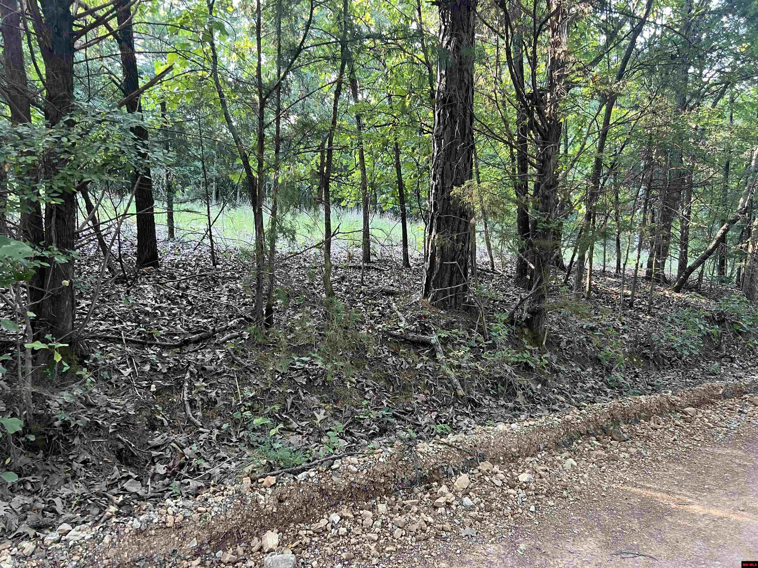 000 MC 8044 Yellville, AR 72687