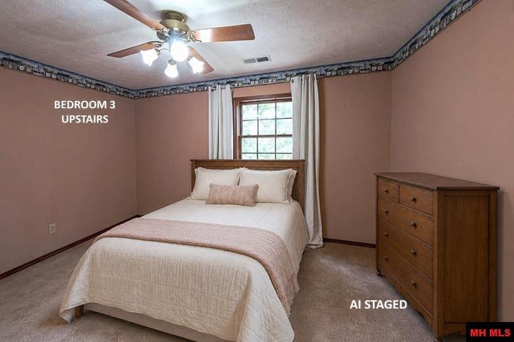 380 PLAINS DRIVE Mountain Home, AR