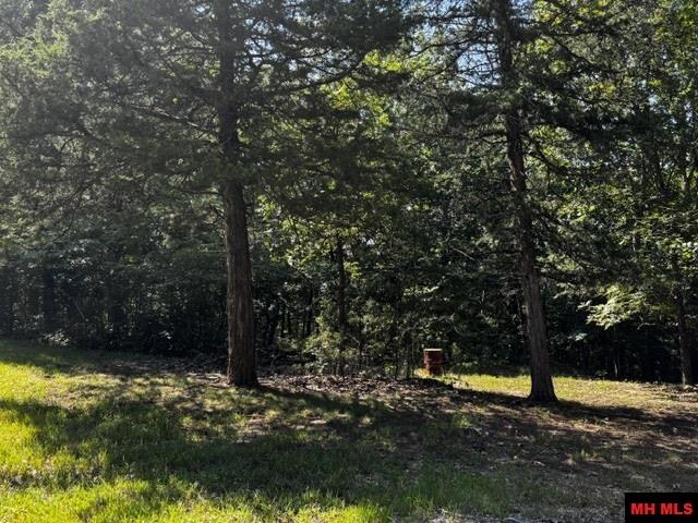 1141 MC 8083 Yellville, AR
