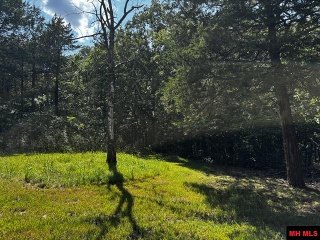 1141 MC 8083 Yellville, AR
