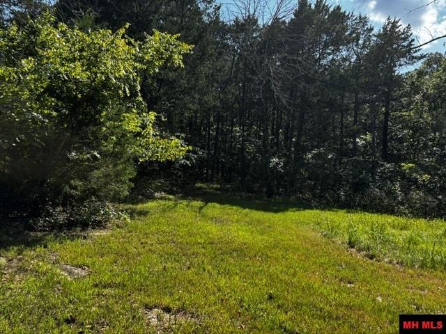 1141 MC 8083 Yellville, AR