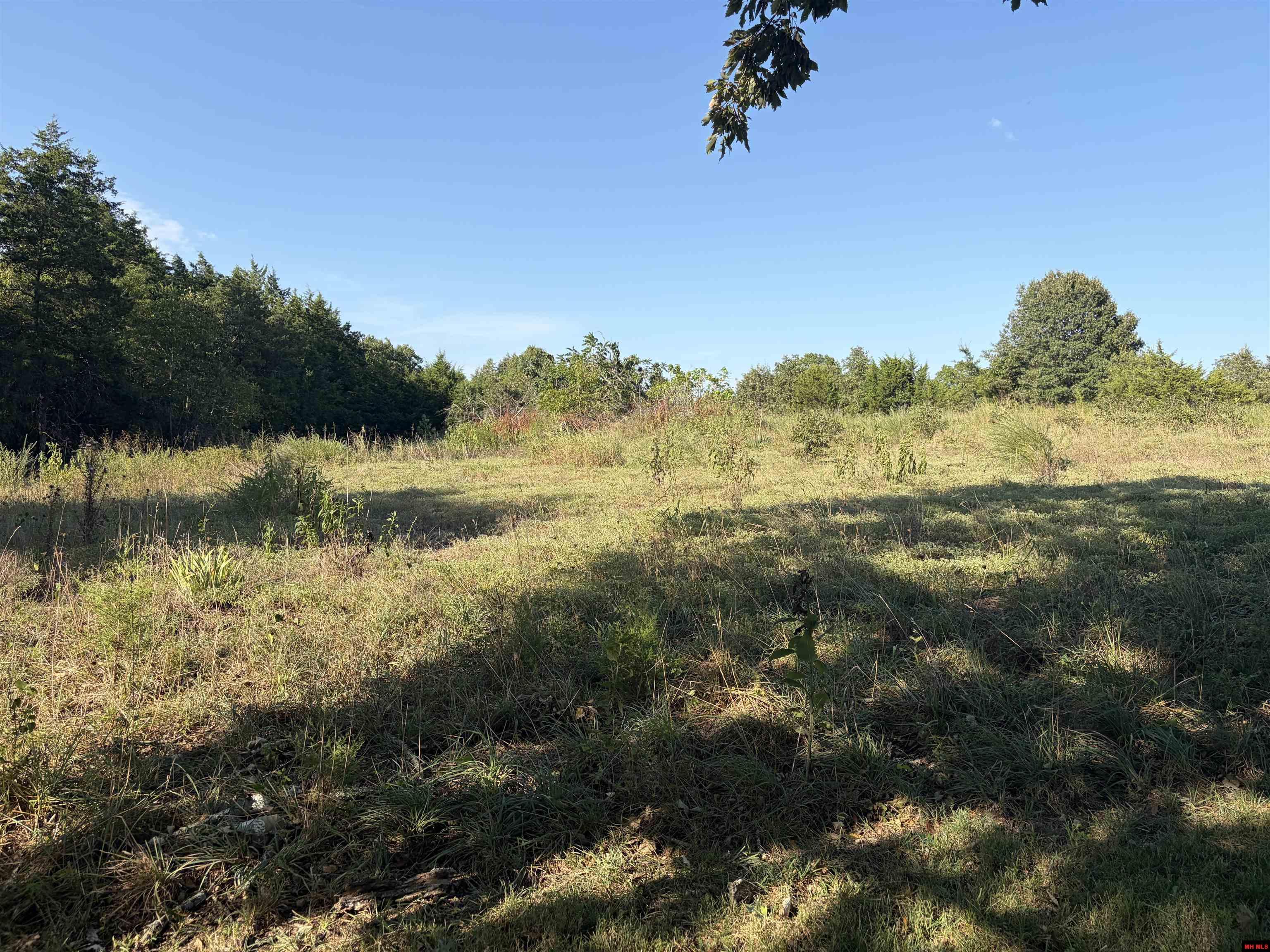 8951 MOUNT CALM ROAD Gepp, AR
