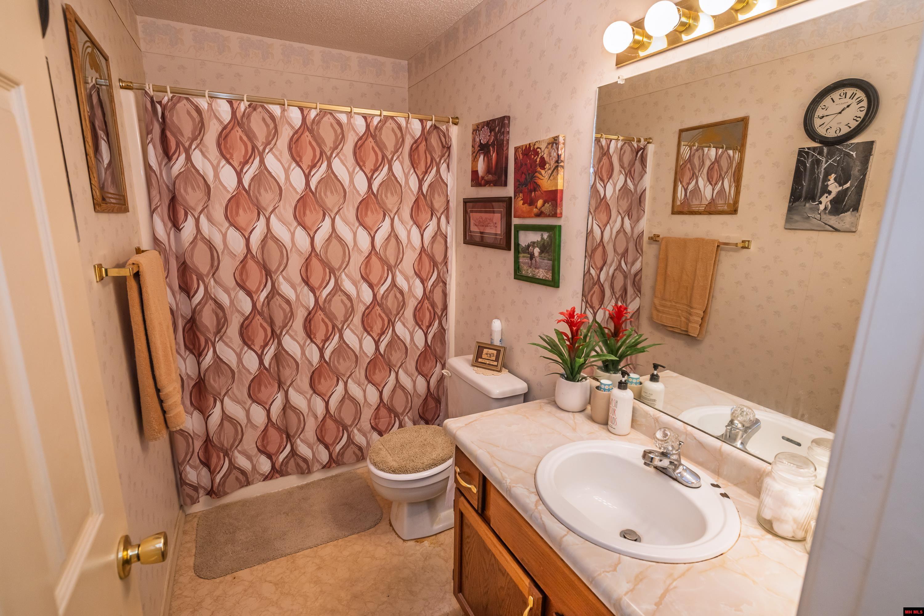 1117 OZARK AVENUE Mountain Home, AR