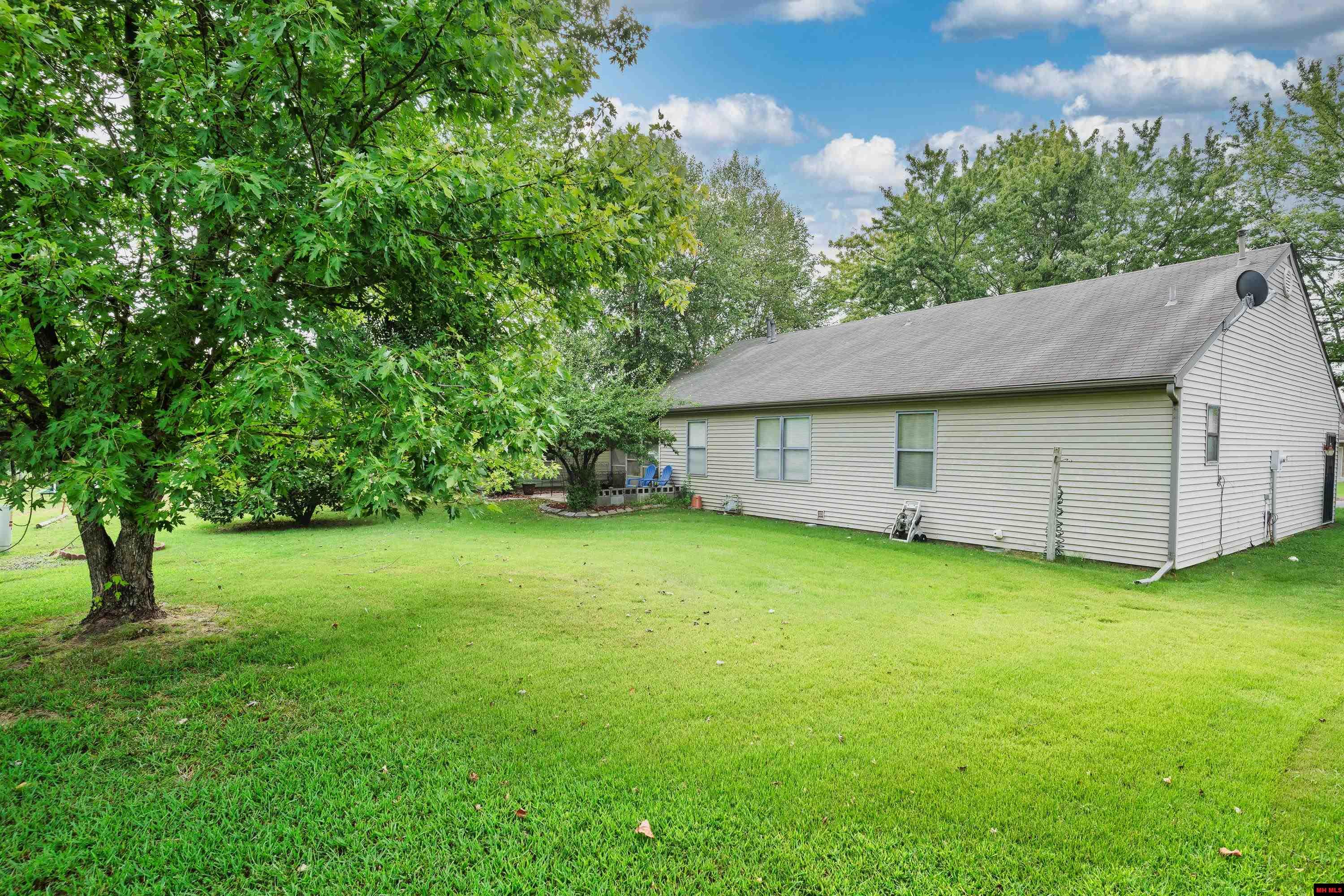 1117 OZARK AVENUE Mountain Home, AR