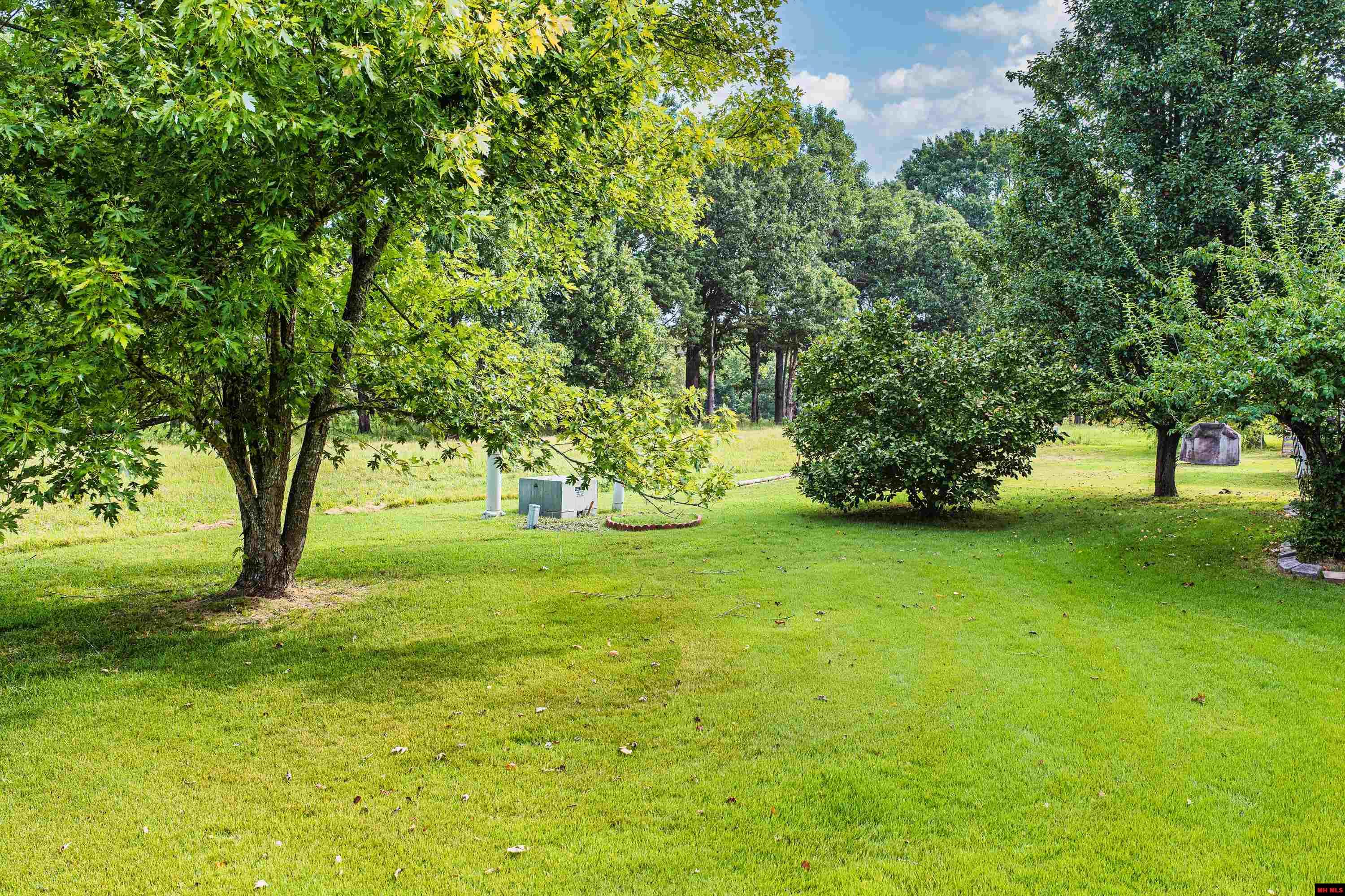 1117 OZARK AVENUE Mountain Home, AR