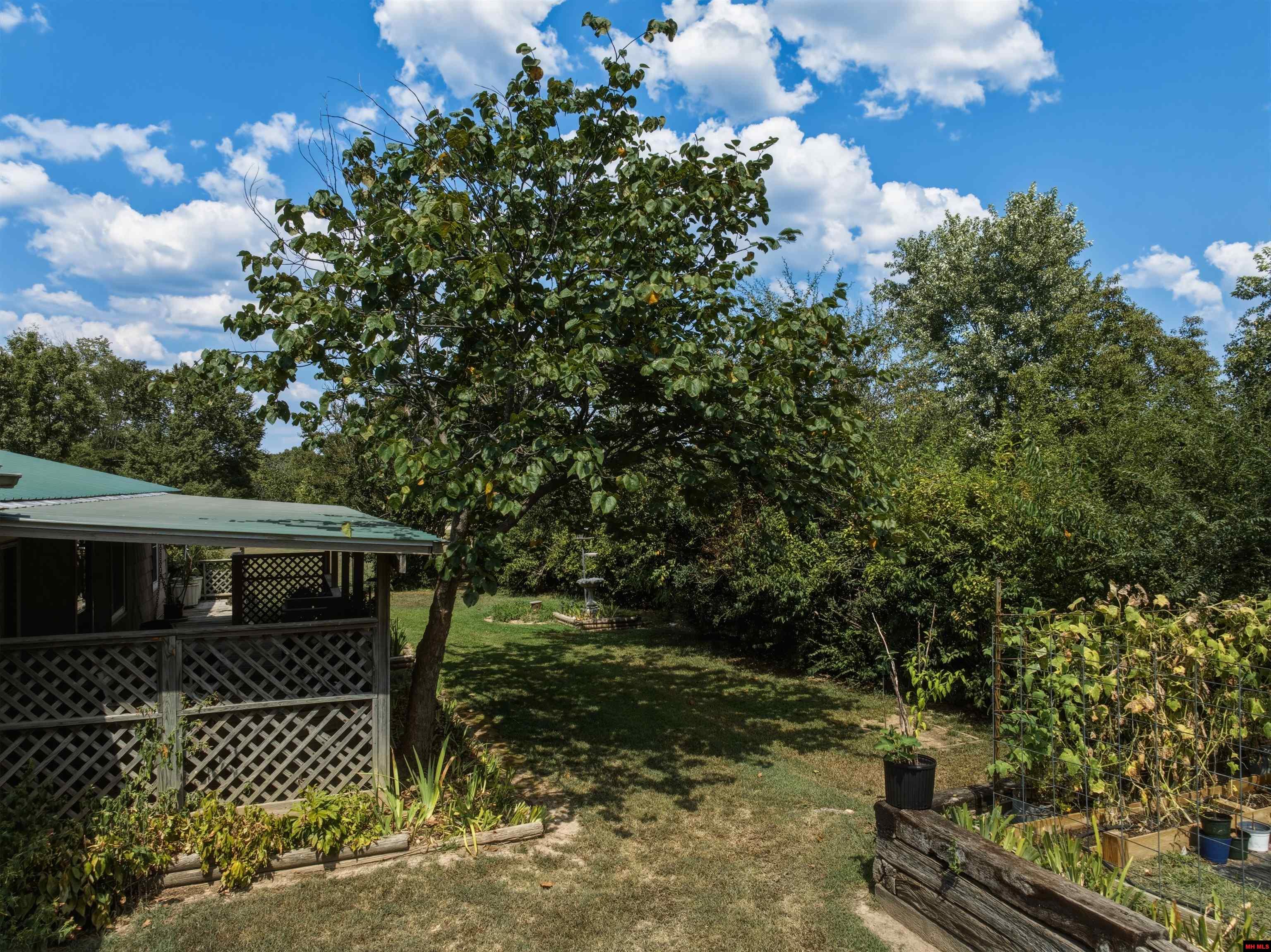 36 ZIBERT LANE Mountain Home, AR