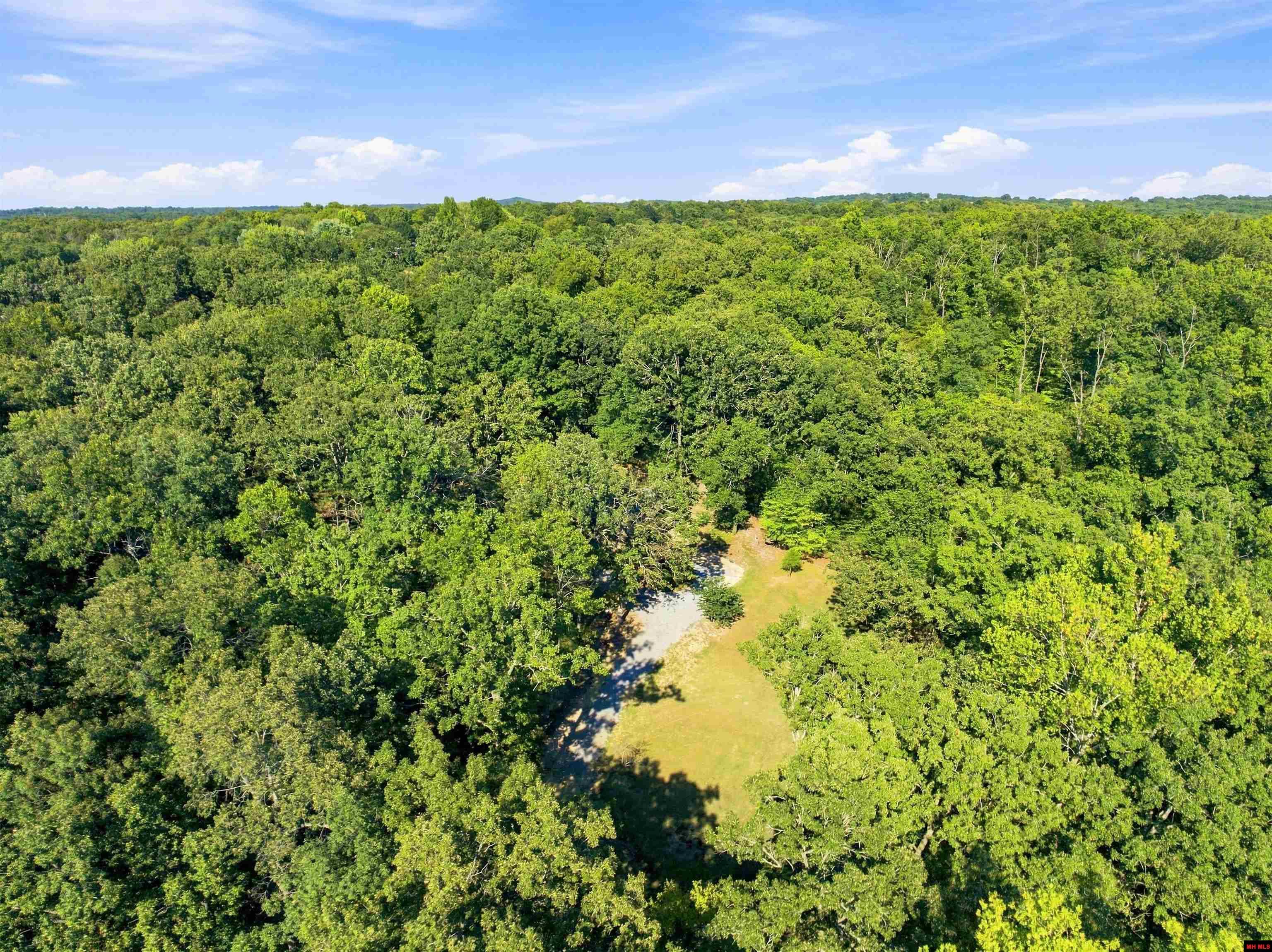 542 CAPEWOOD LANE Midway, AR