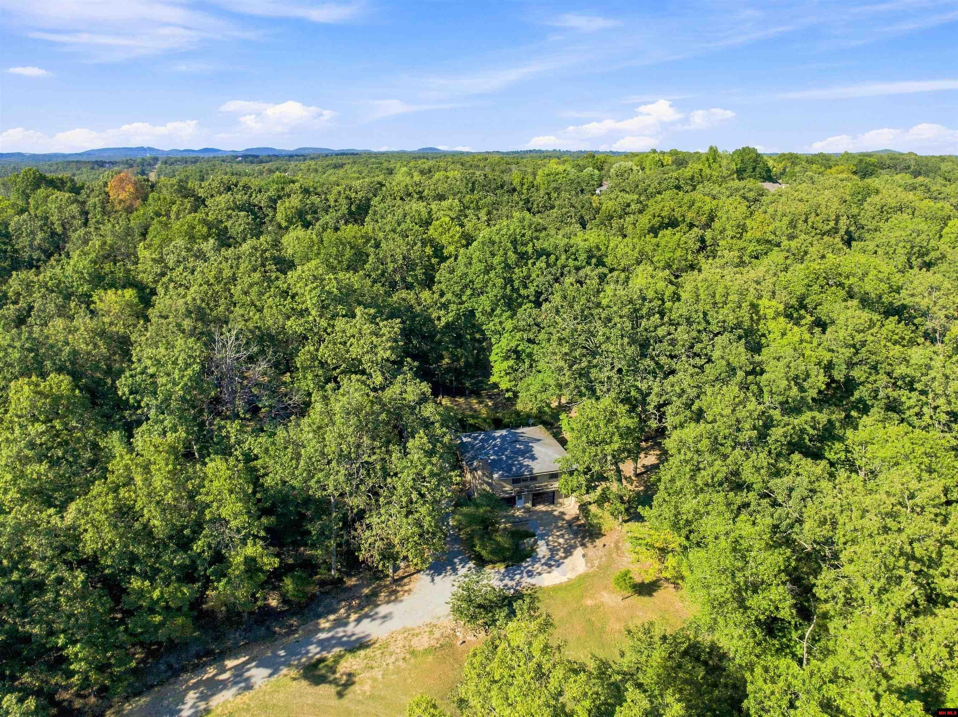 542 CAPEWOOD LANE Midway, AR