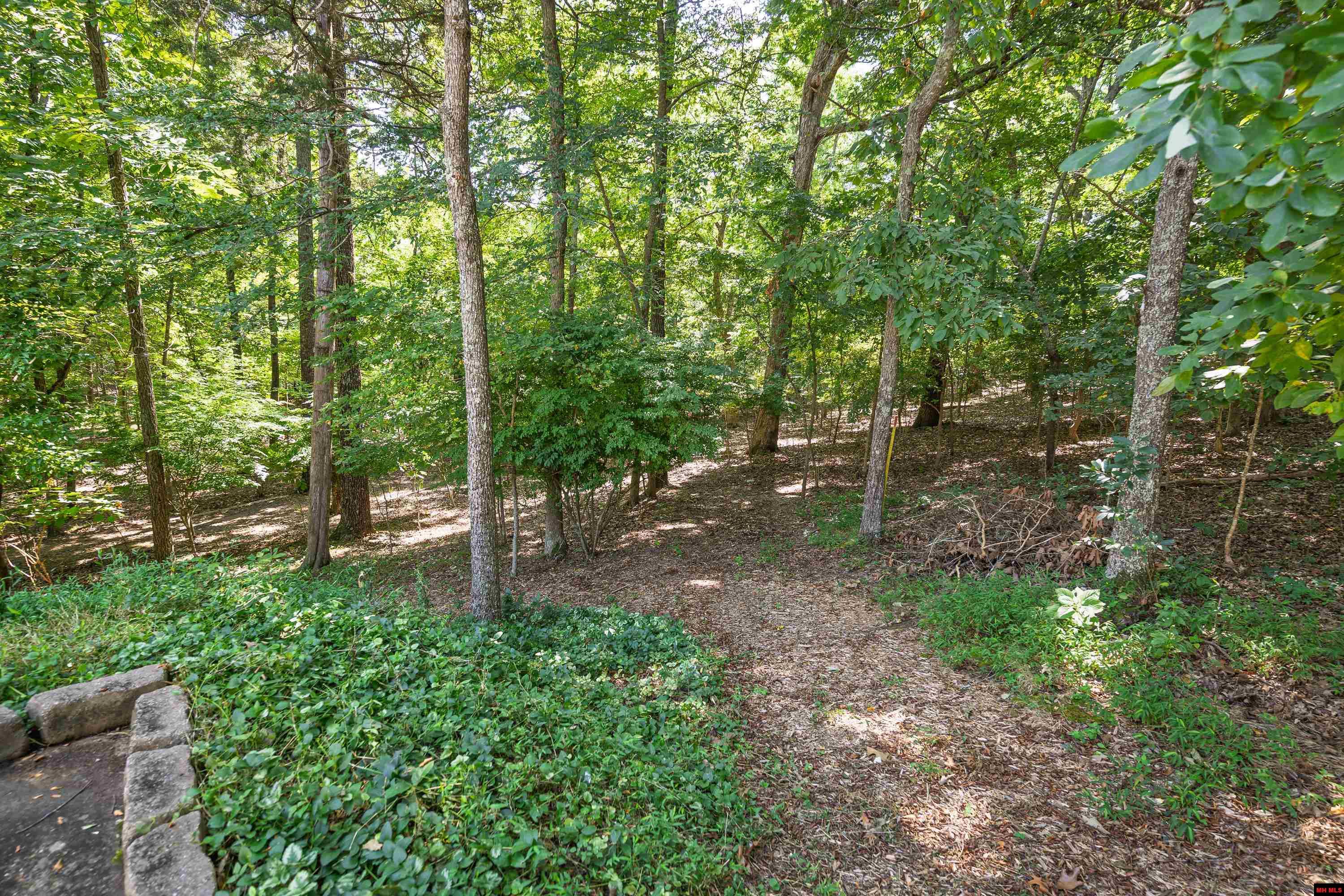 121 STONEGATE DRIVE Mountain Home, AR