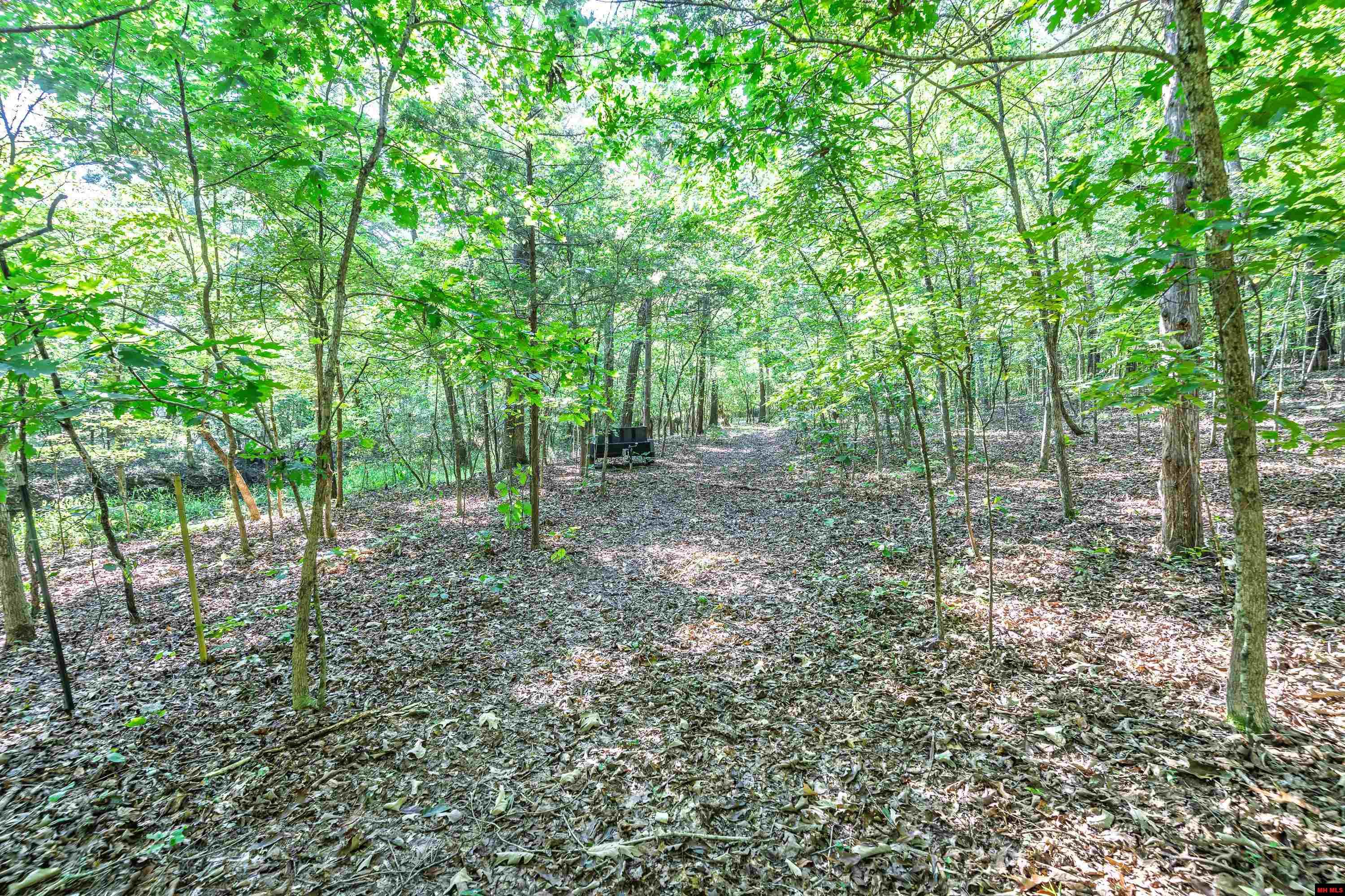 121 STONEGATE DRIVE Mountain Home, AR