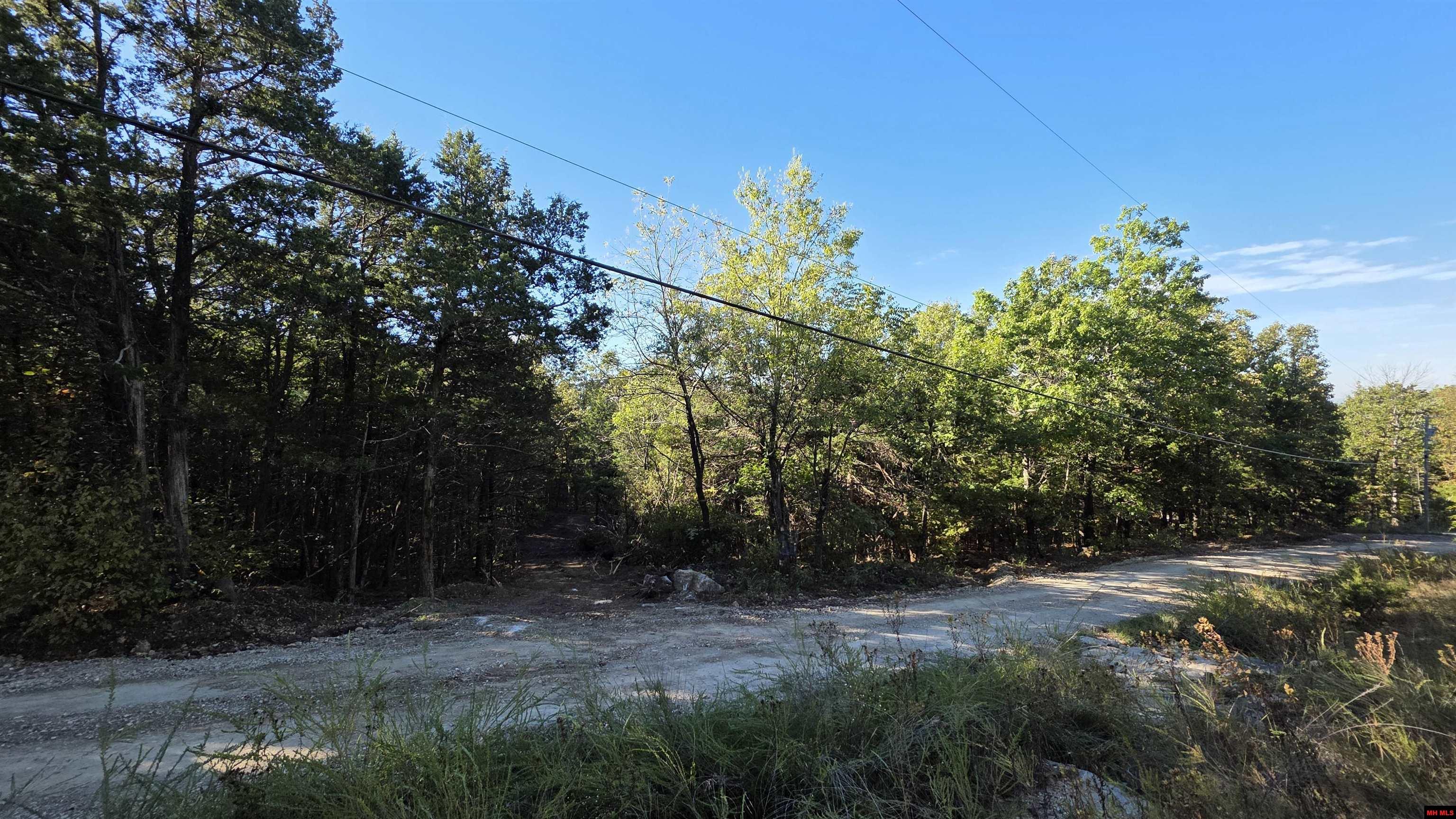 165 MC 3061 Yellville, AR 72687