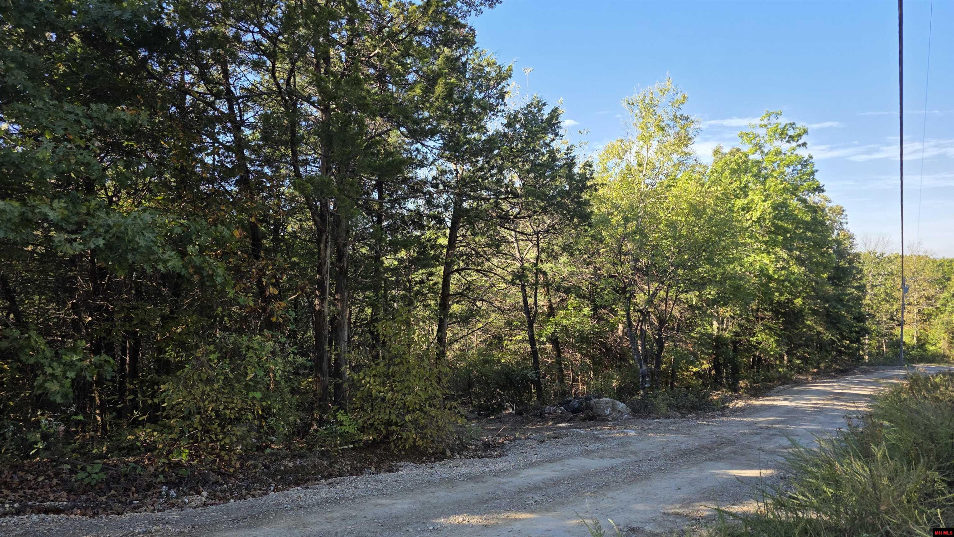 165 MC 3061 Yellville, AR 72687
