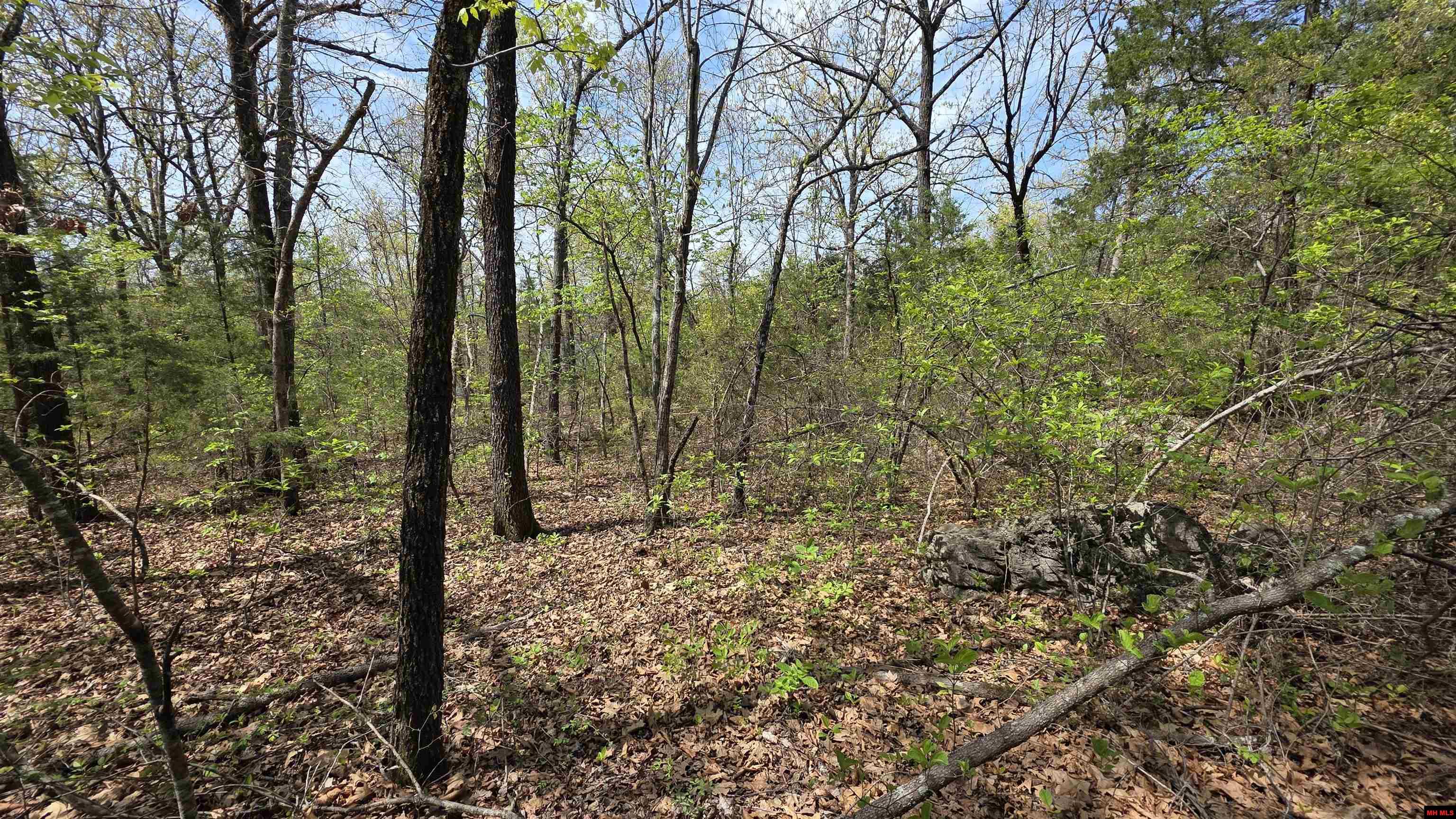 165 MC 3061 Yellville, AR 72687