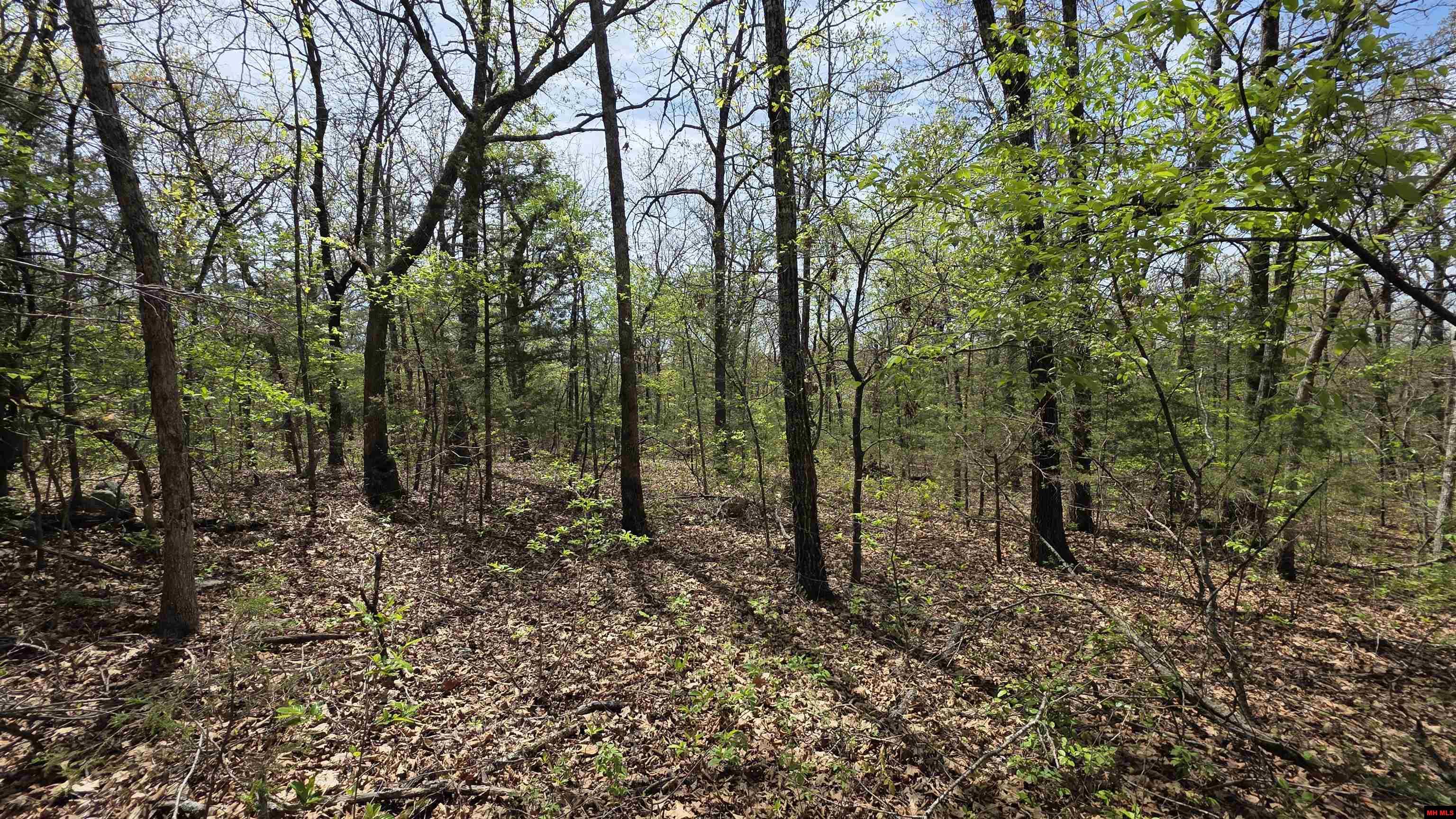 165 MC 3061 Yellville, AR 72687