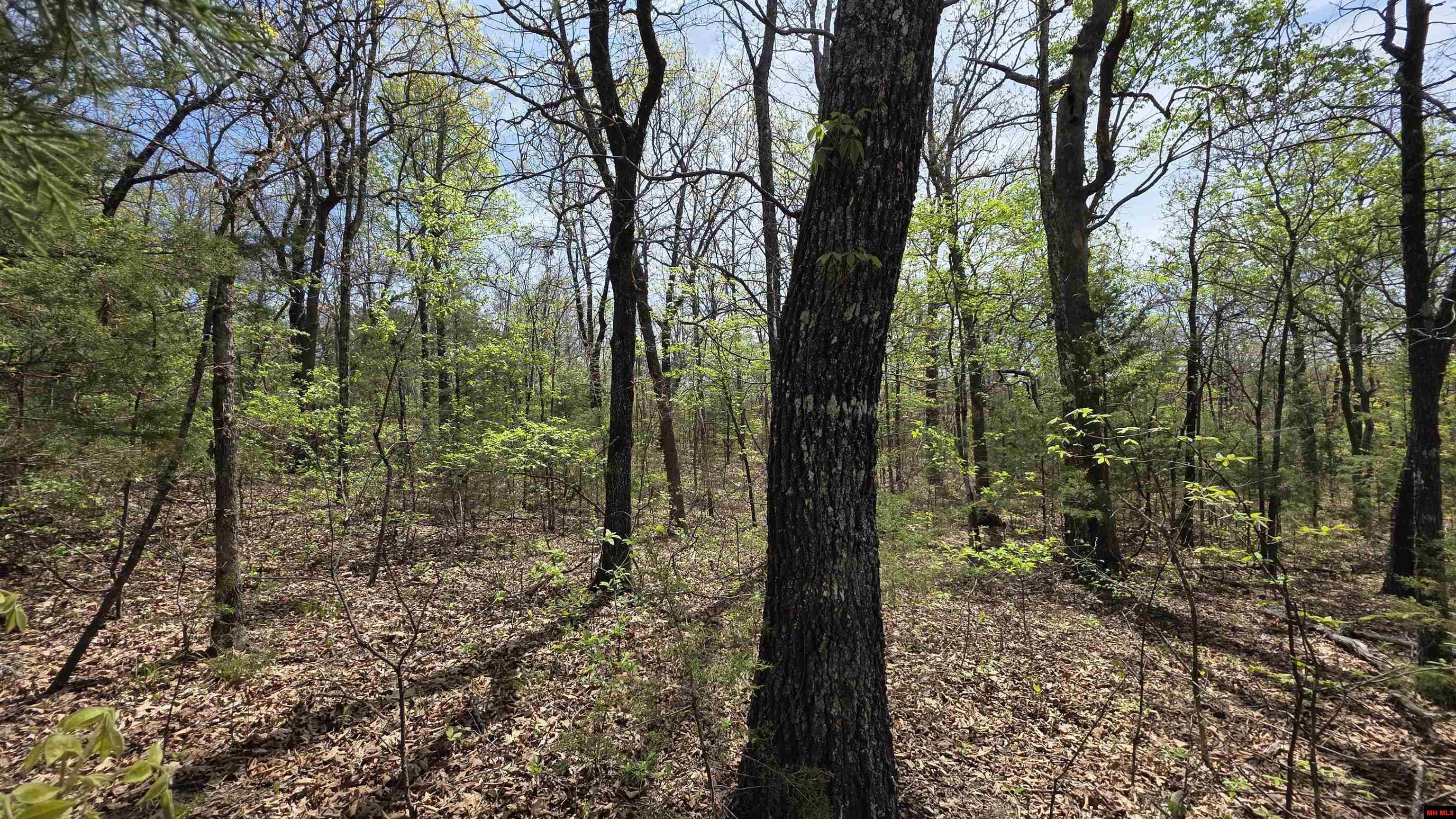 165 MC 3061 Yellville, AR 72687