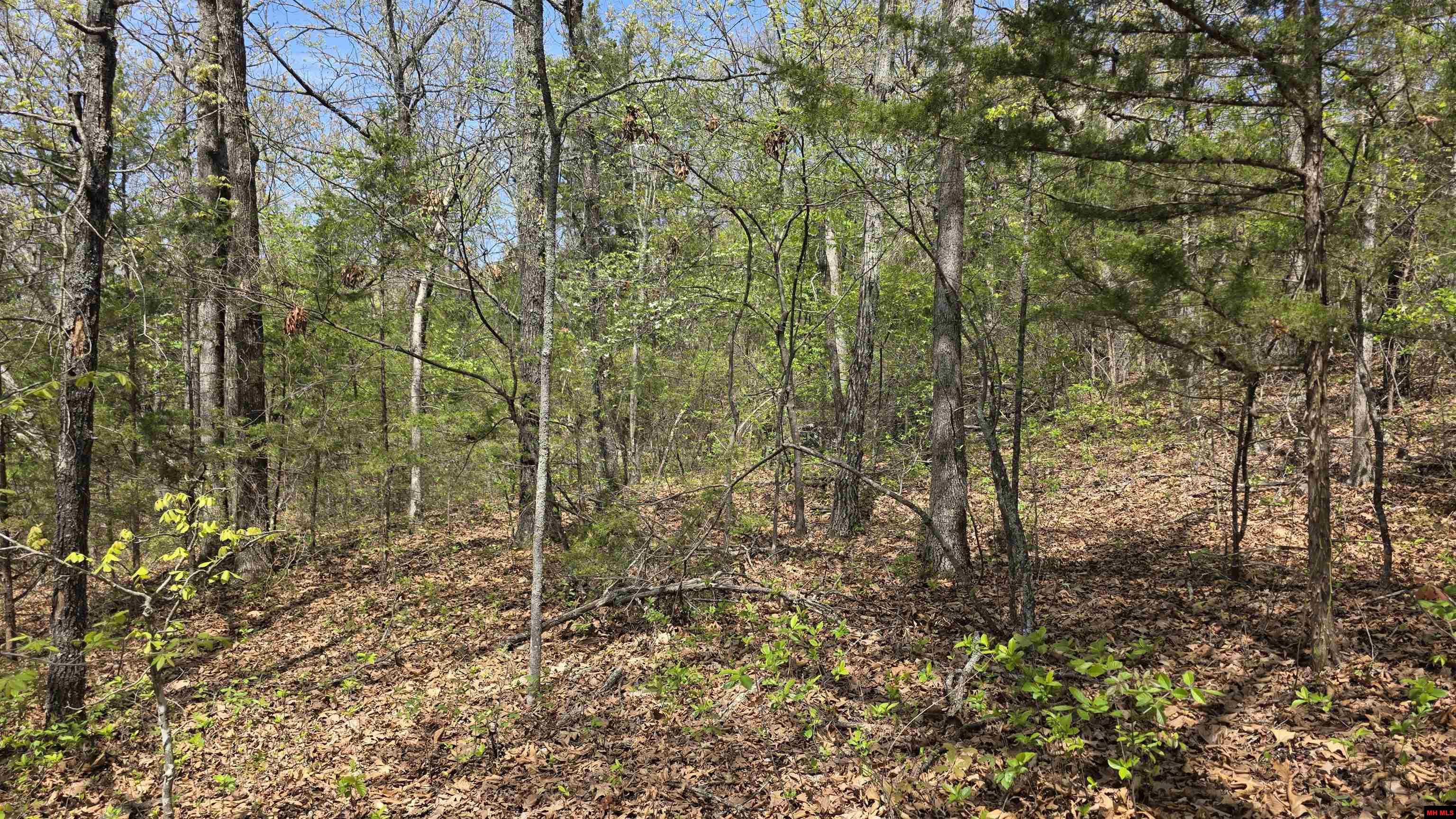 165 MC 3061 Yellville, AR 72687