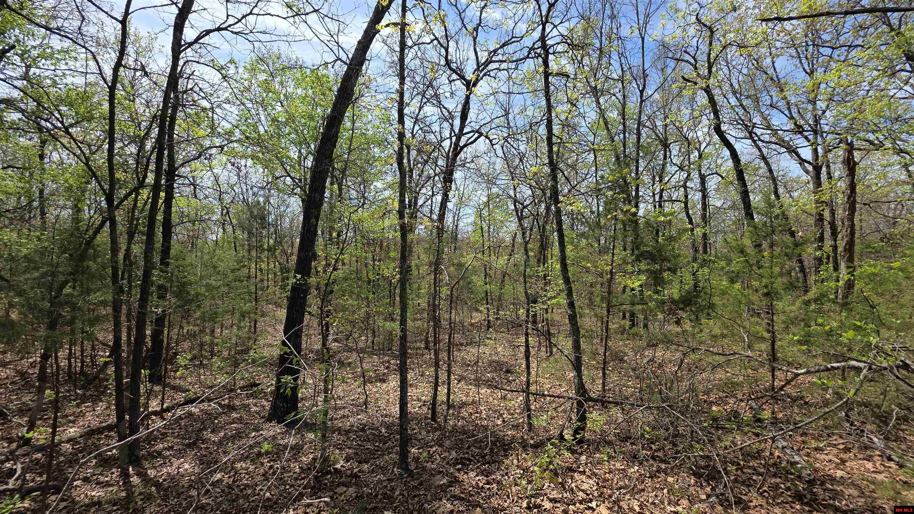 165 MC 3061 Yellville, AR 72687