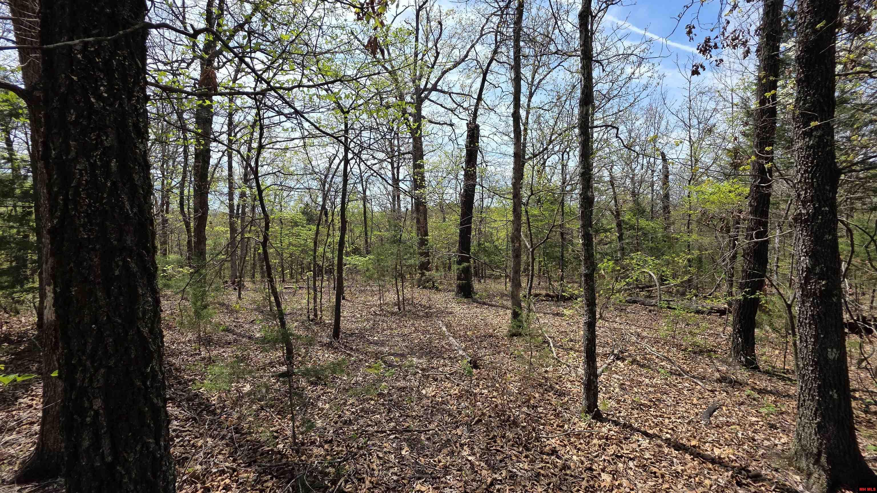 165 MC 3061 Yellville, AR 72687