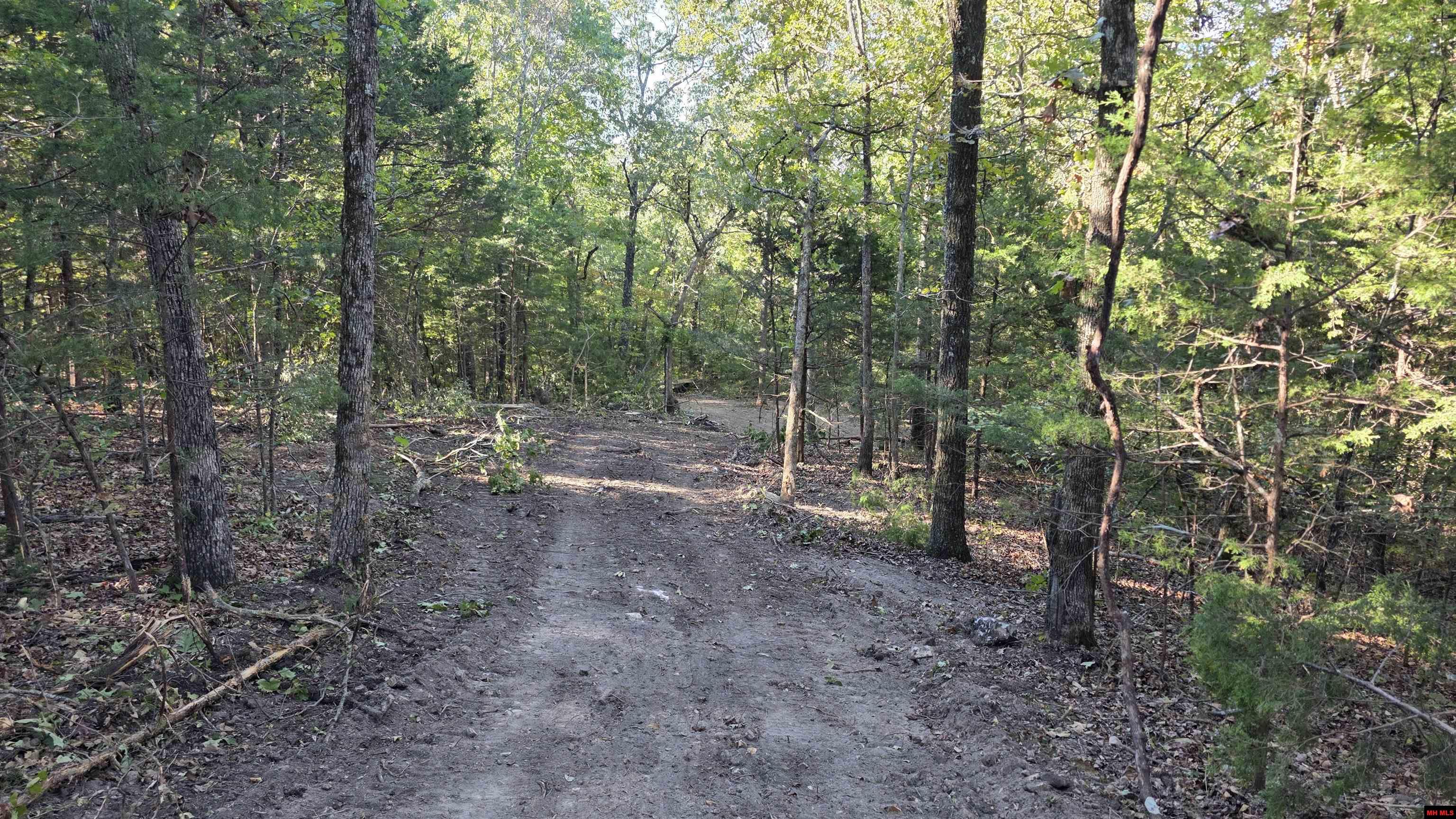 165 MC 3061 Yellville, AR 72687