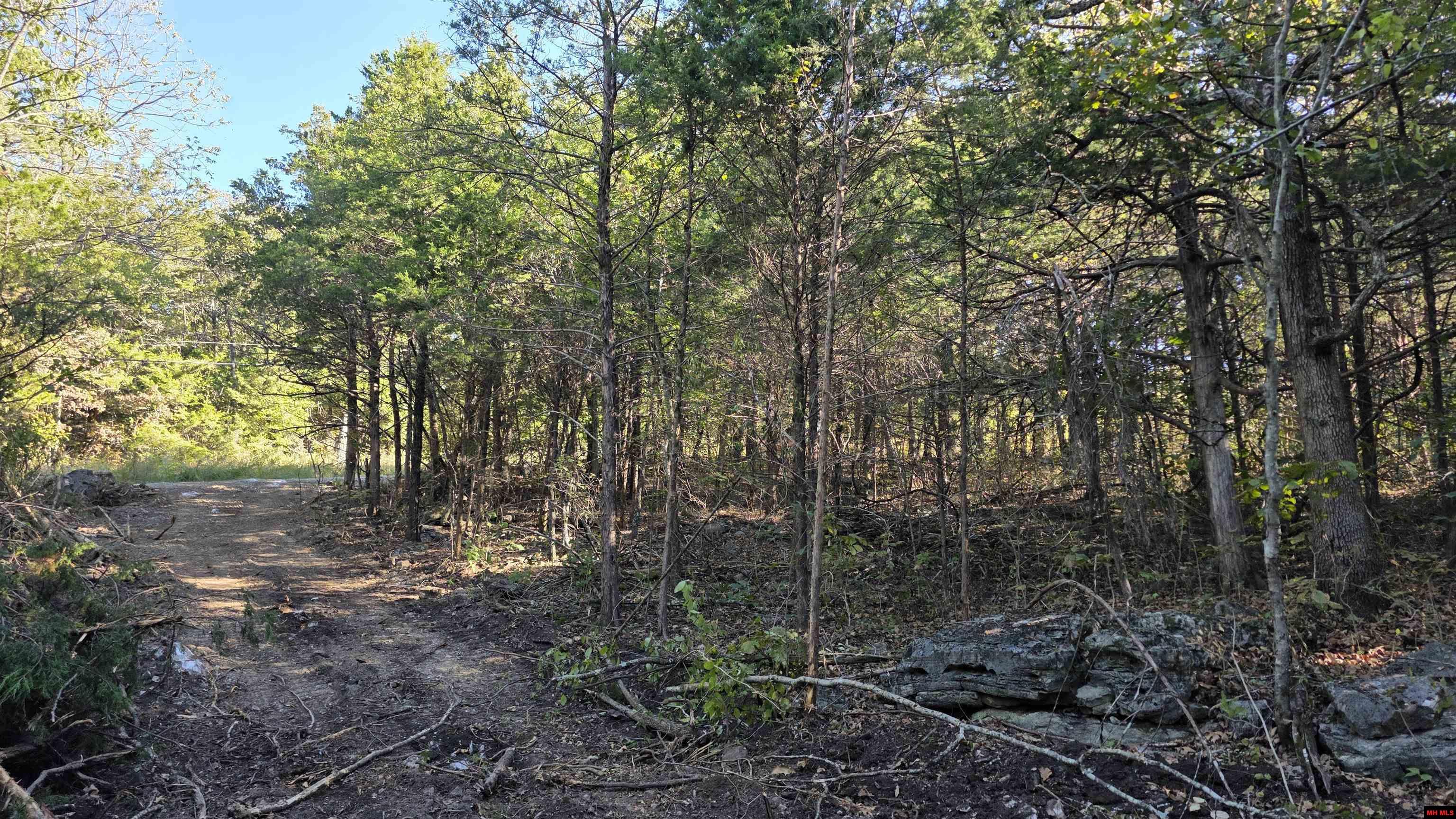165 MC 3061 Yellville, AR 72687