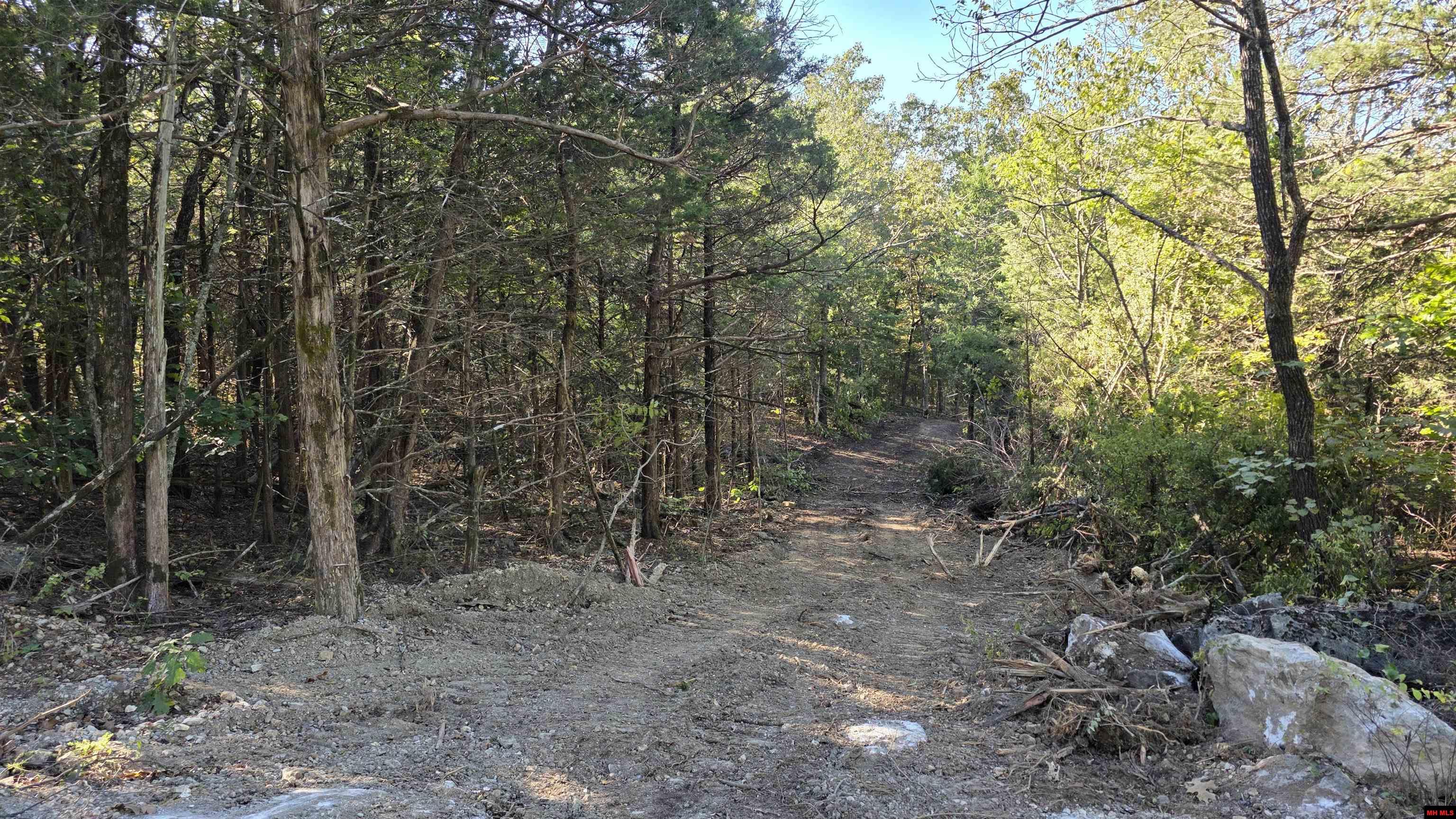 165 MC 3061 Yellville, AR 72687