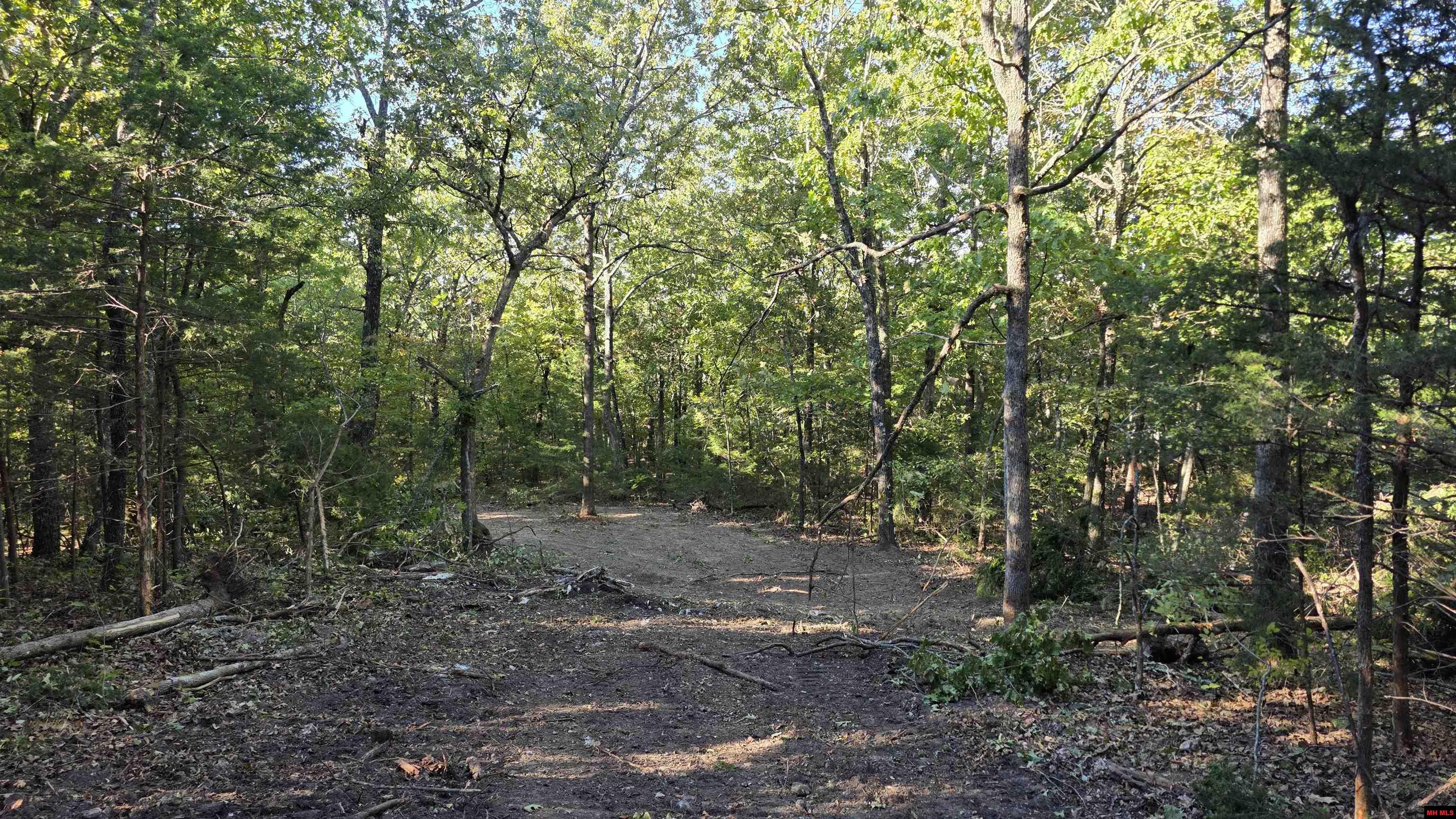 165 MC 3061 Yellville, AR 72687