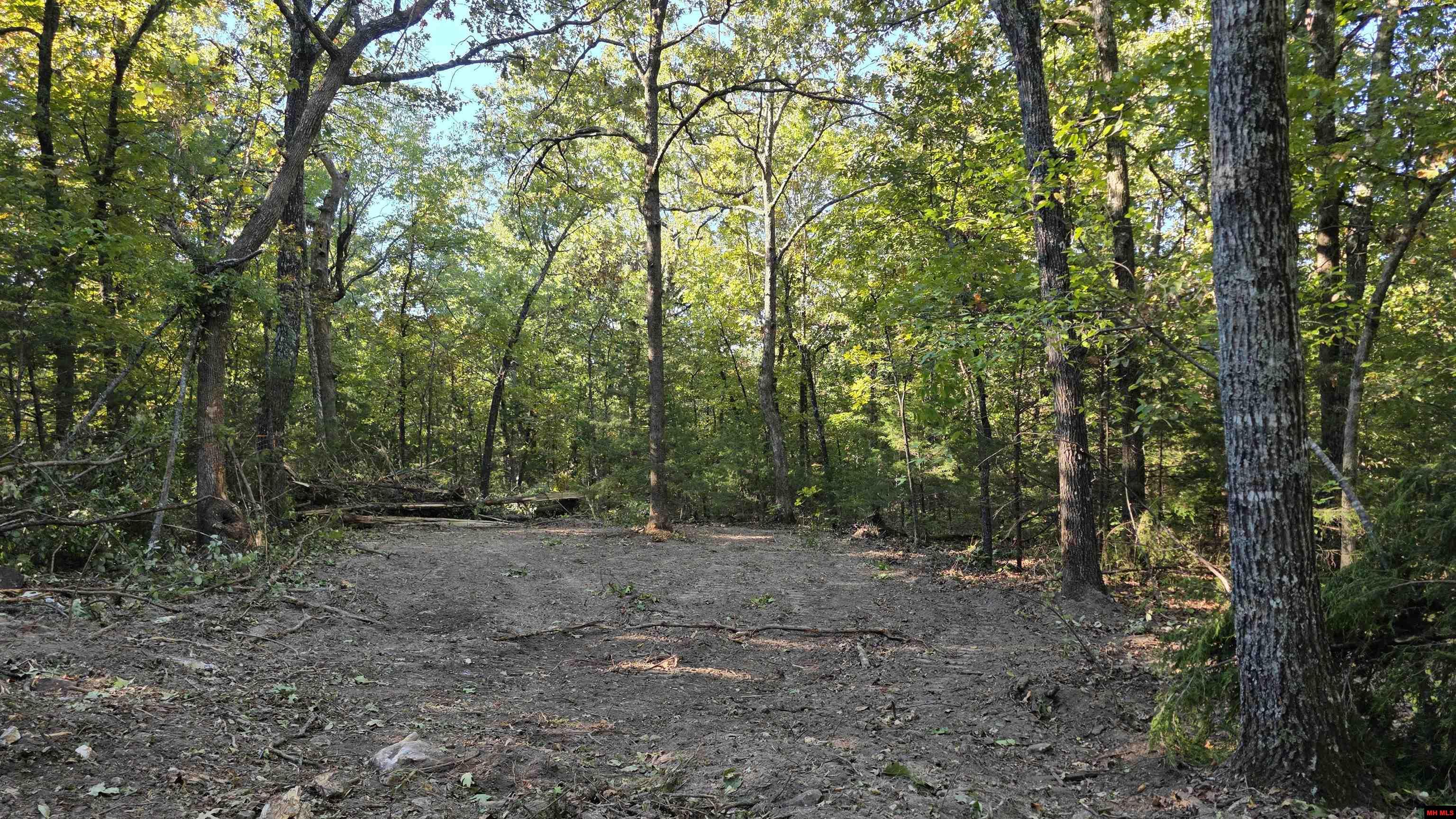 165 MC 3061 Yellville, AR 72687
