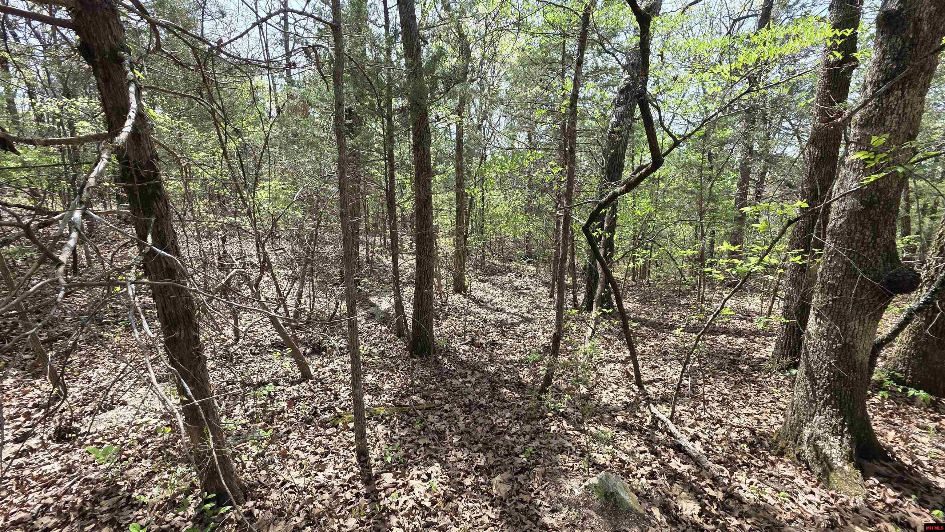 165 MC 3061 Yellville, AR 72687