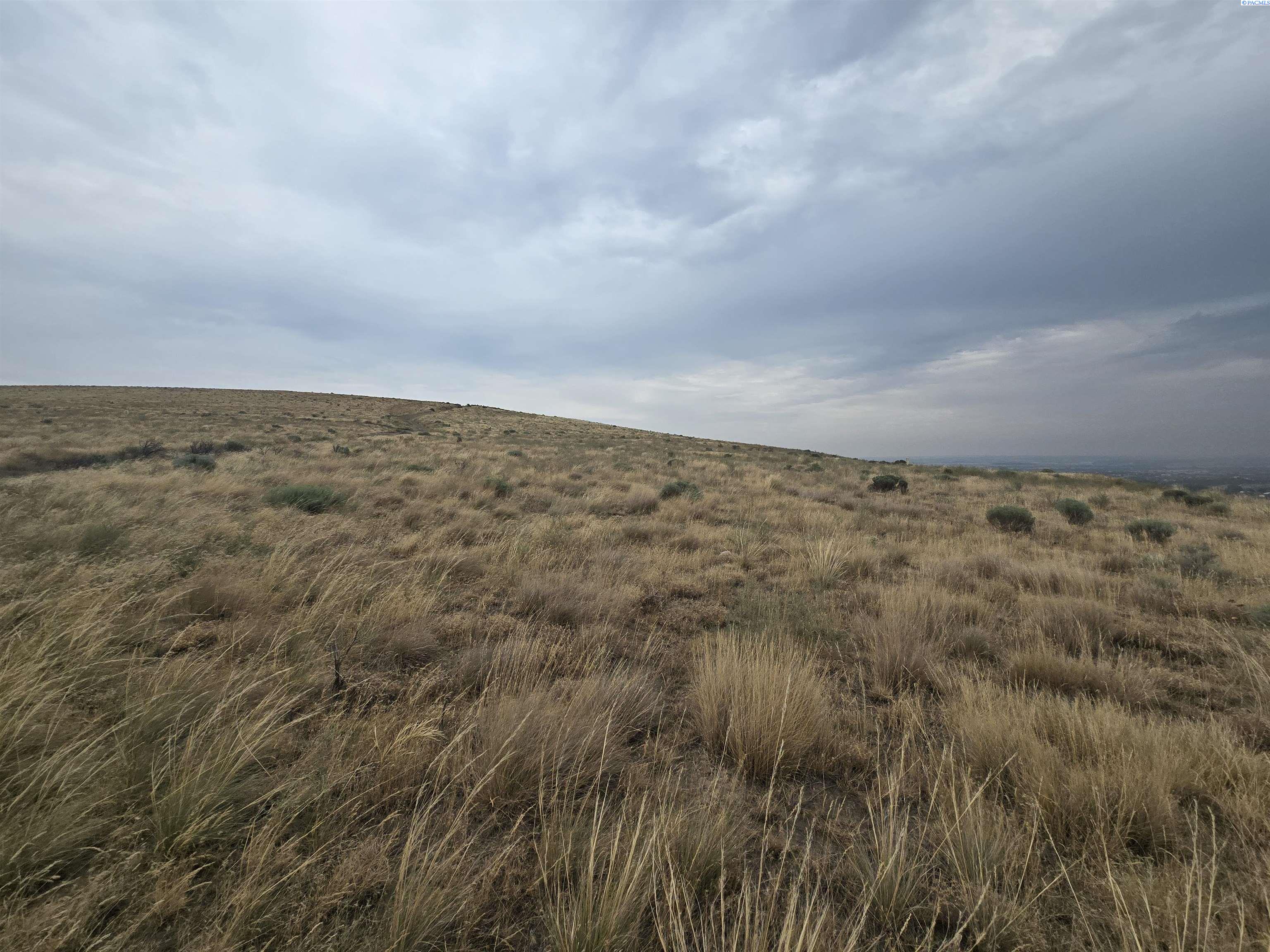 NKA S Olympia St #90.33 Acres, Kennewick, WA 99337