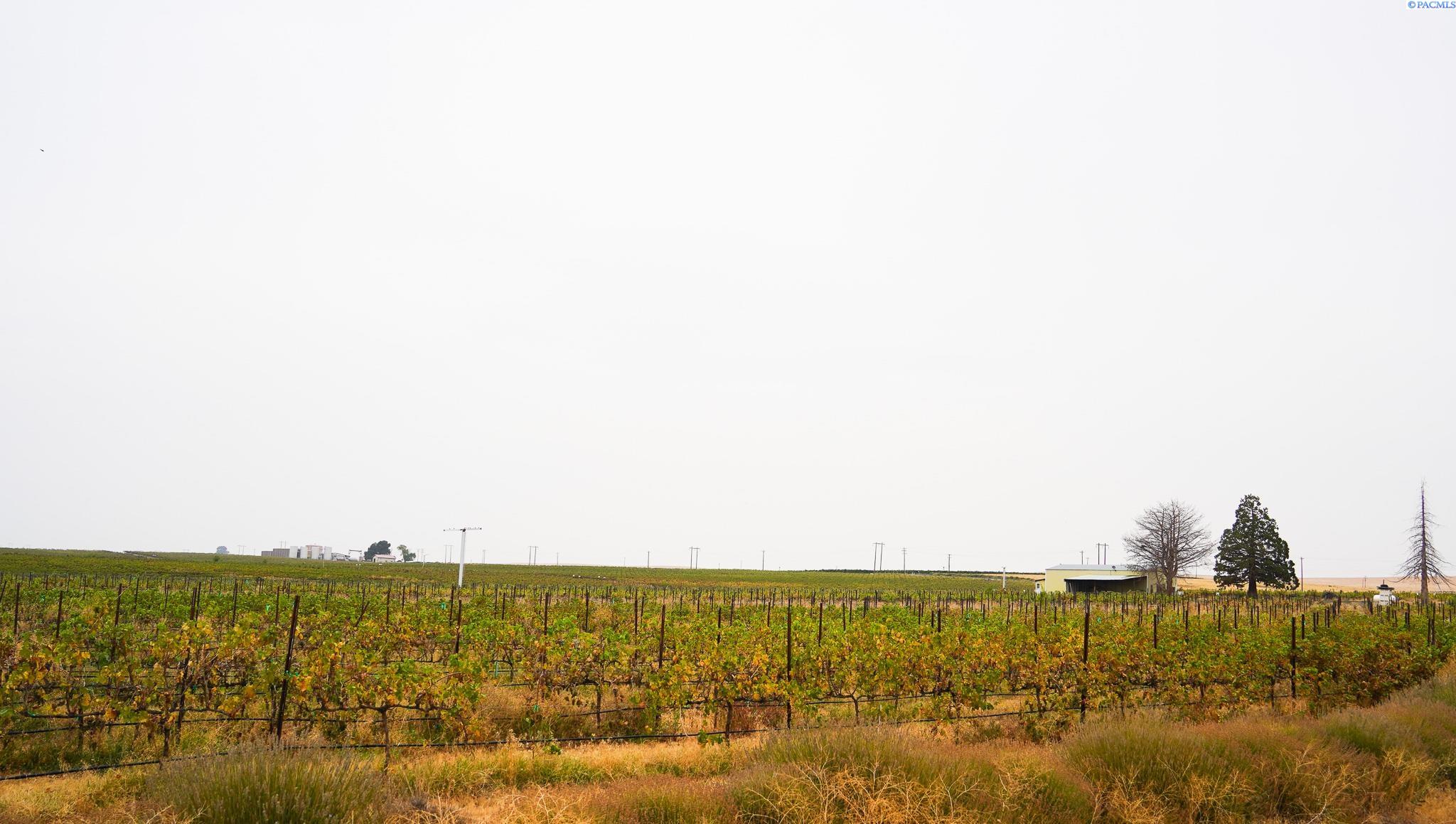 54402 N Hinzerling Rd, Prosser, WA 99350