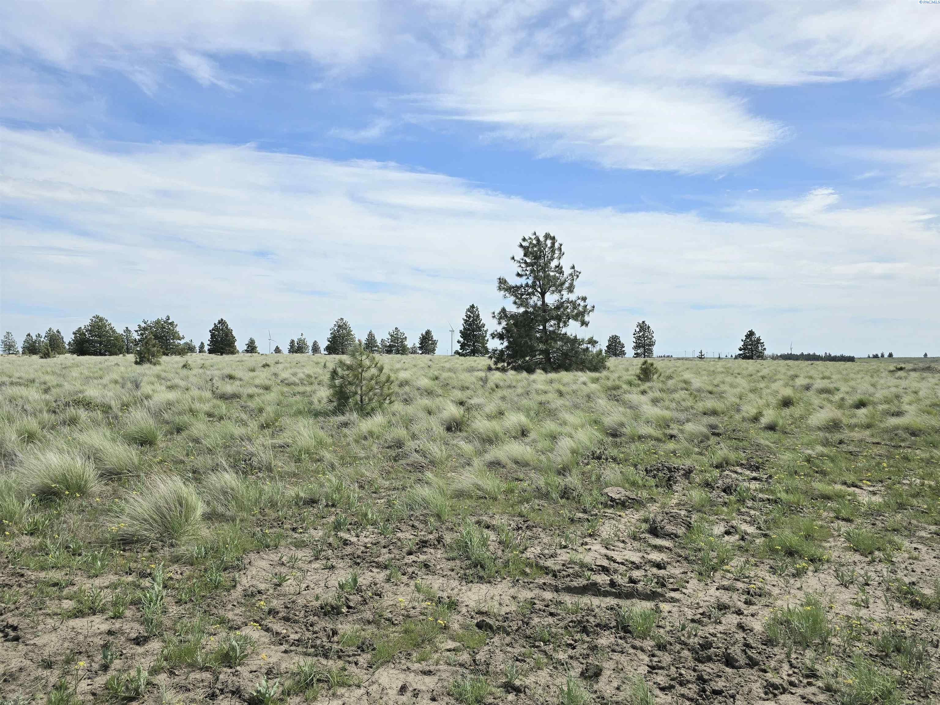 Homes for sale in Bickleton, WA | 54 Duree Rd, Bickleton, WA 99322 | MLS# 288004