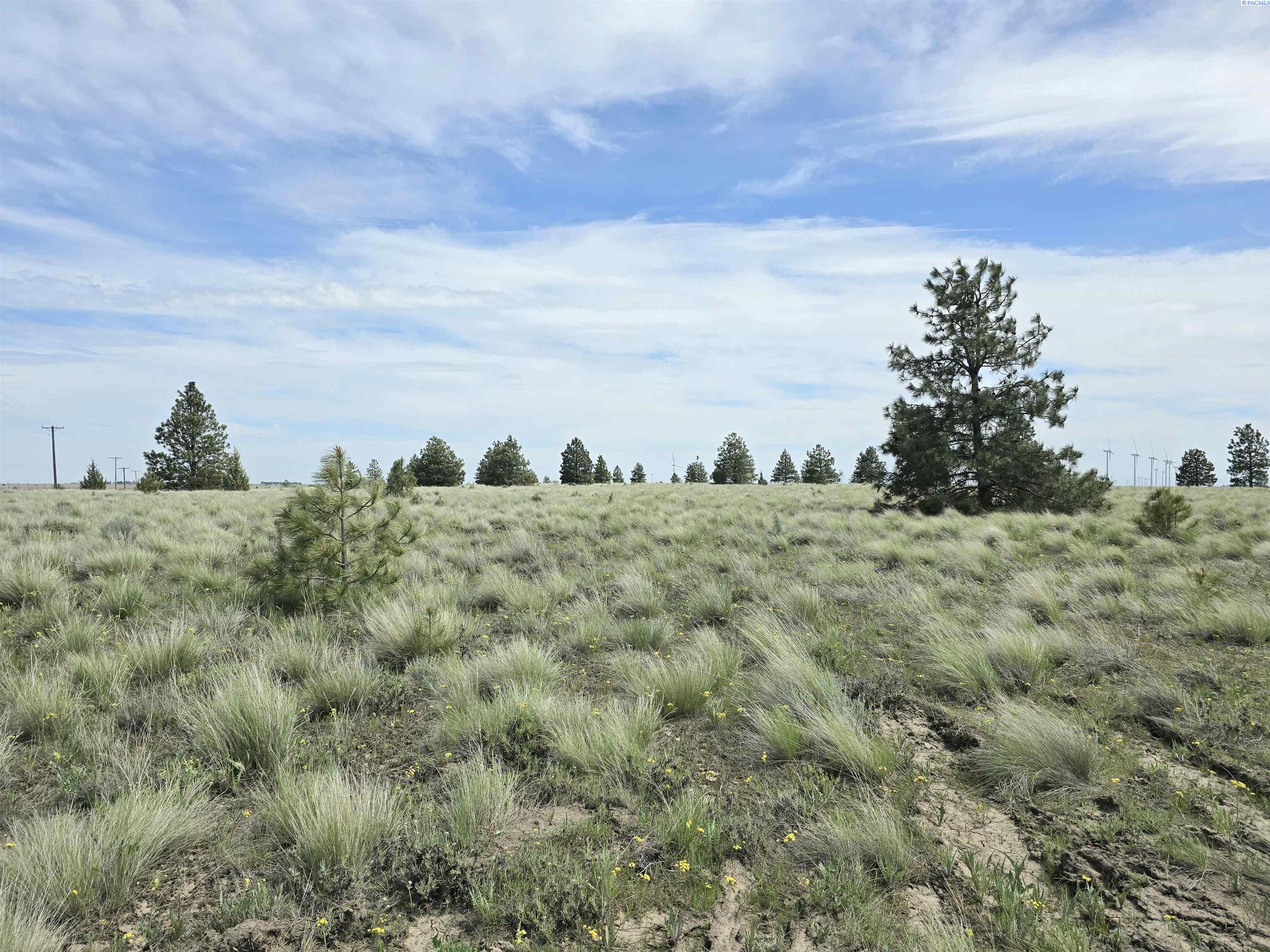 Homes for sale in Bickleton, WA | 54 Duree Rd, Bickleton, WA 99322 | MLS# 288004