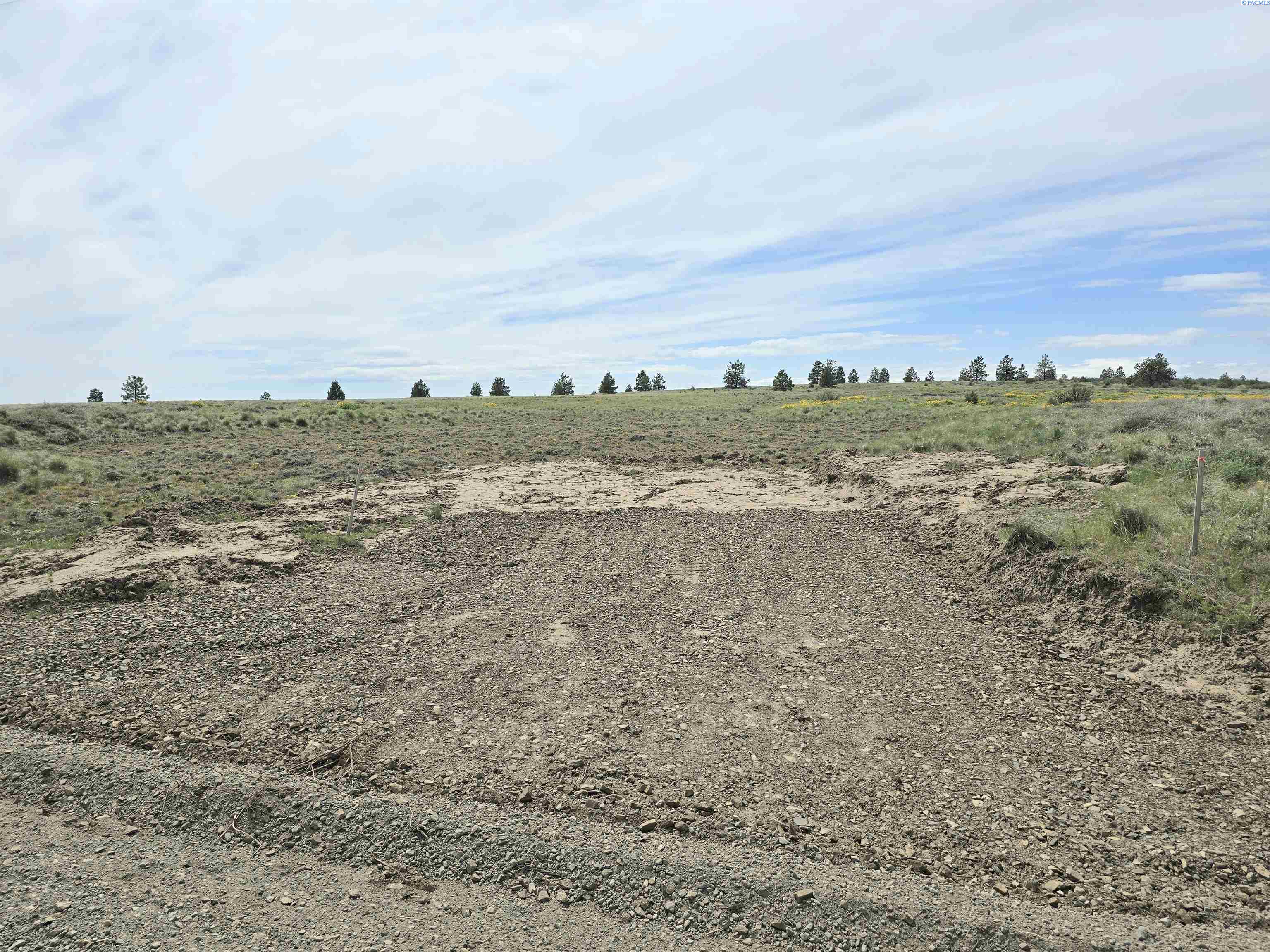 Homes for sale in Bickleton, WA | 141 Middle Rd, Bickleton, WA 99322 | MLS# 288005