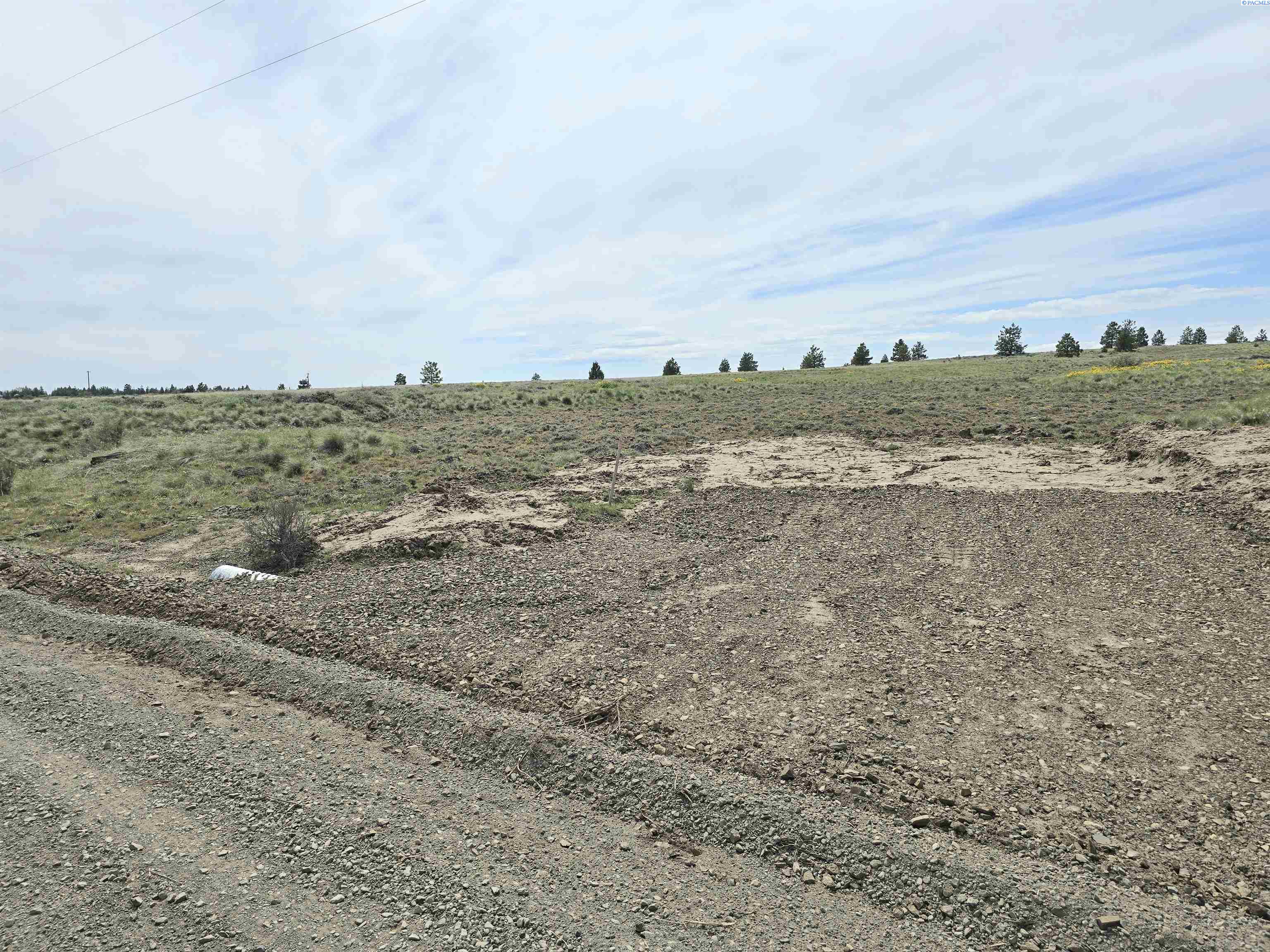 Homes for sale in Bickleton, WA | 141 Middle Rd, Bickleton, WA 99322 | MLS# 288005