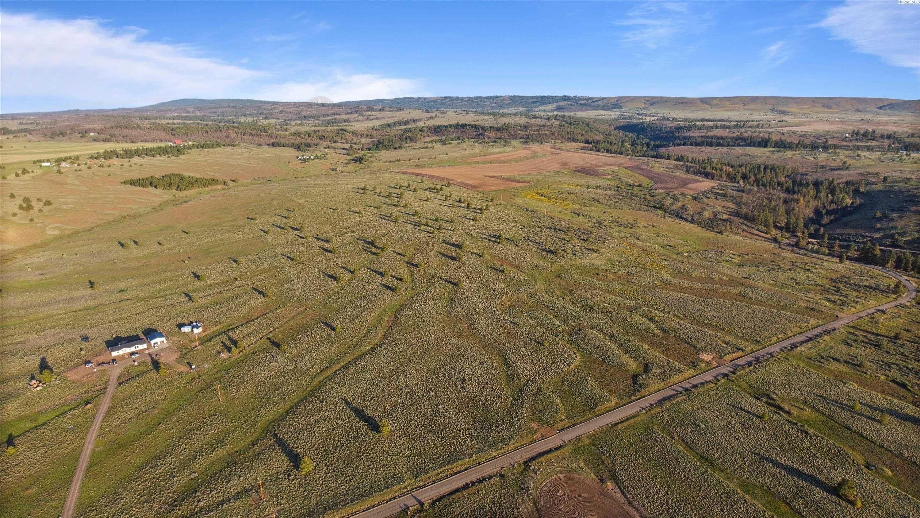 Homes for sale in Bickleton, WA | 141 Middle Rd, Bickleton, WA 99322 | MLS# 288005