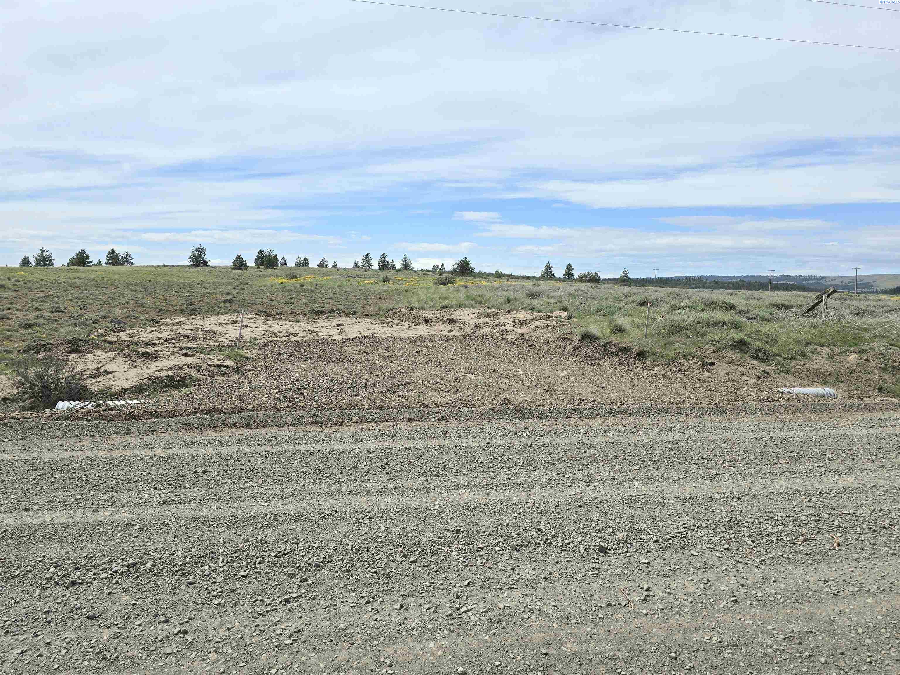 Homes for sale in Bickleton, WA | 141 Middle Rd, Bickleton, WA 99322 | MLS# 288005