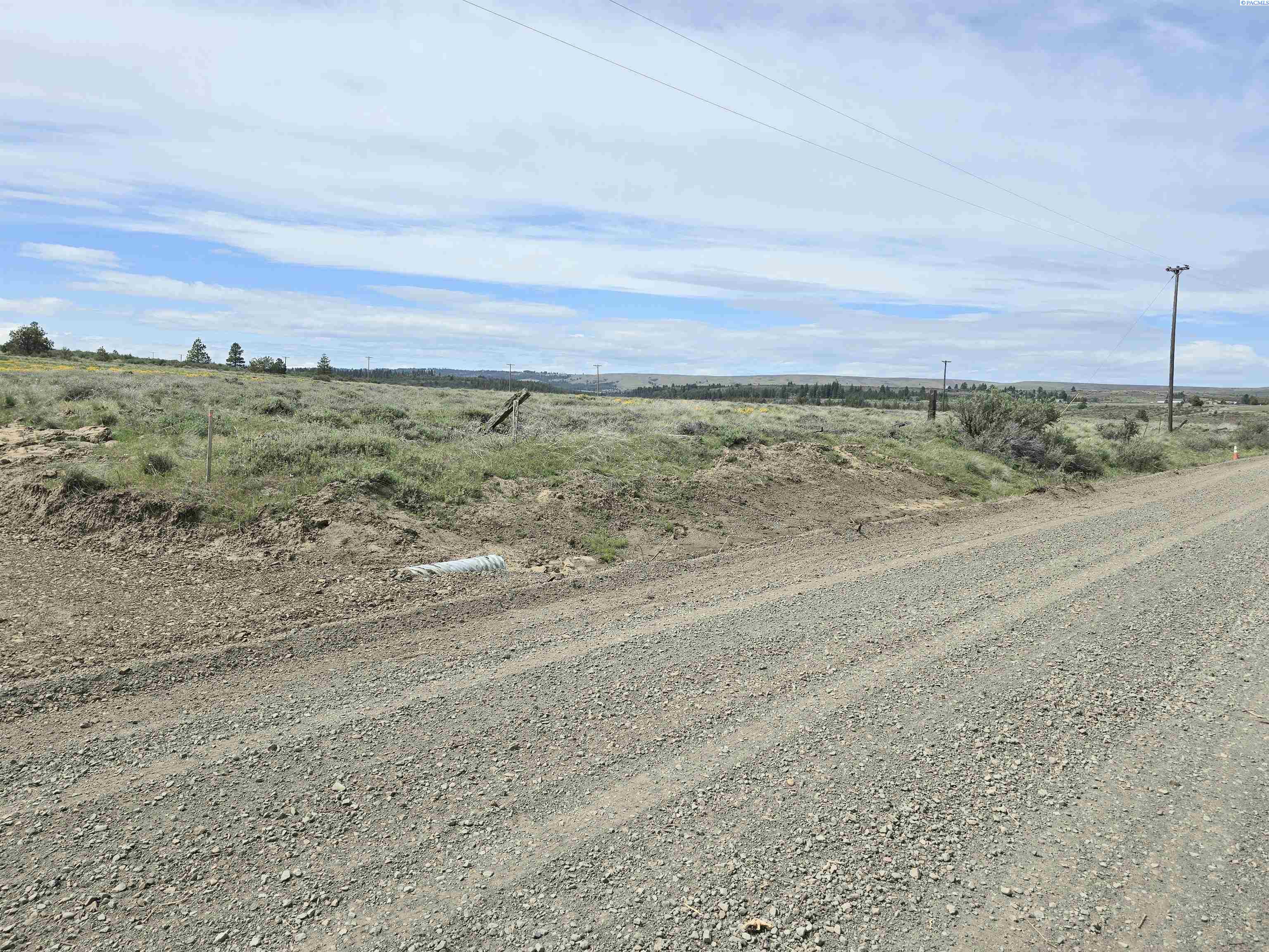 Homes for sale in Bickleton, WA | 141 Middle Rd, Bickleton, WA 99322 | MLS# 288005