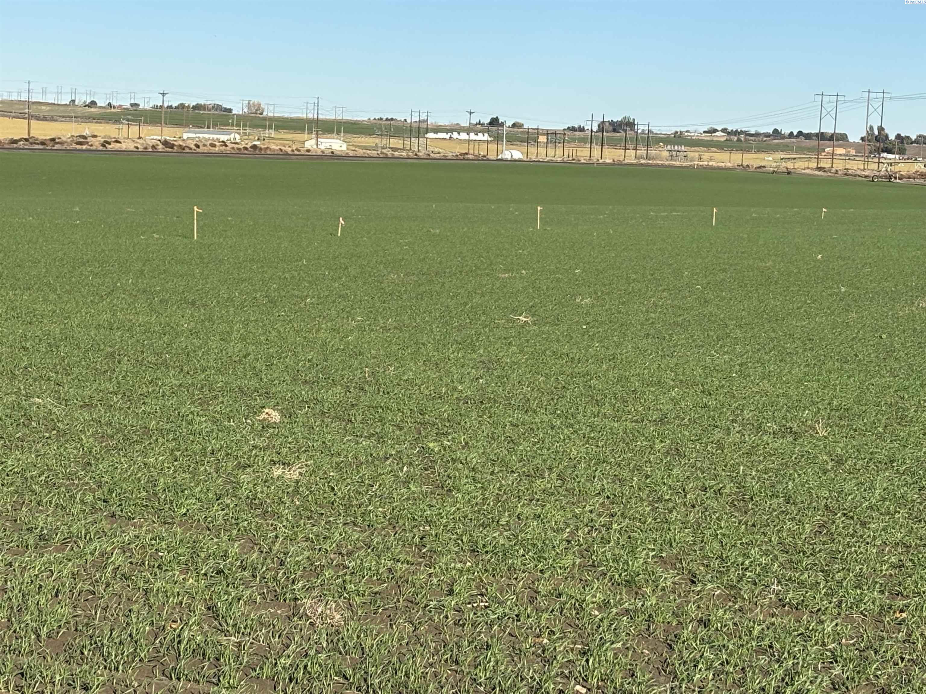 NKA Vineyard Dr #Parcel C, Pasco, WA 99301-0000