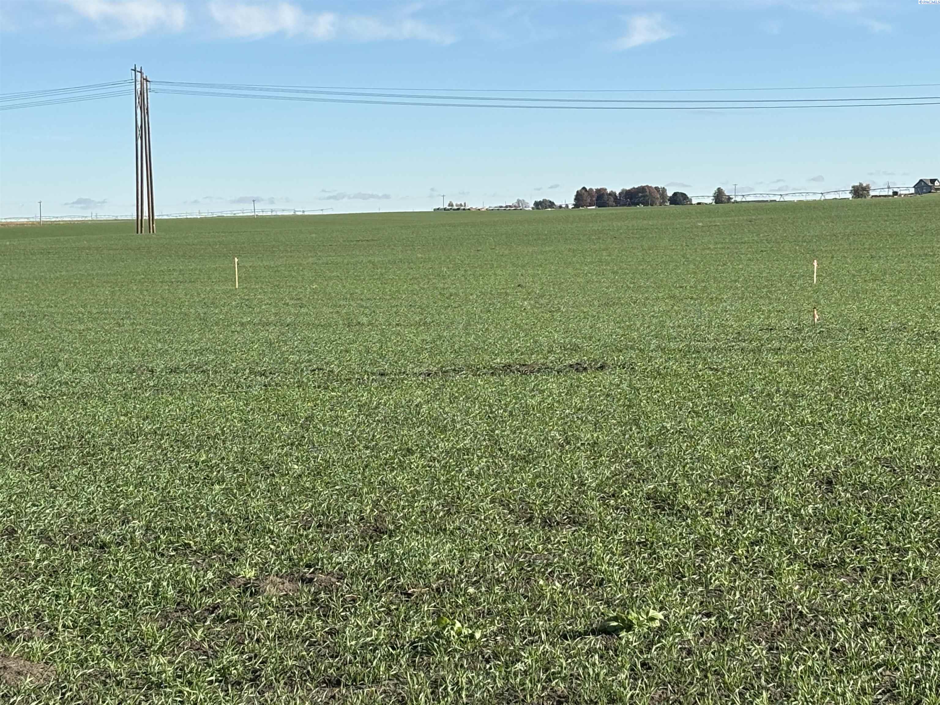 NKA Selph Landing Rd #Parcel B, Pasco, WA 99301-0000