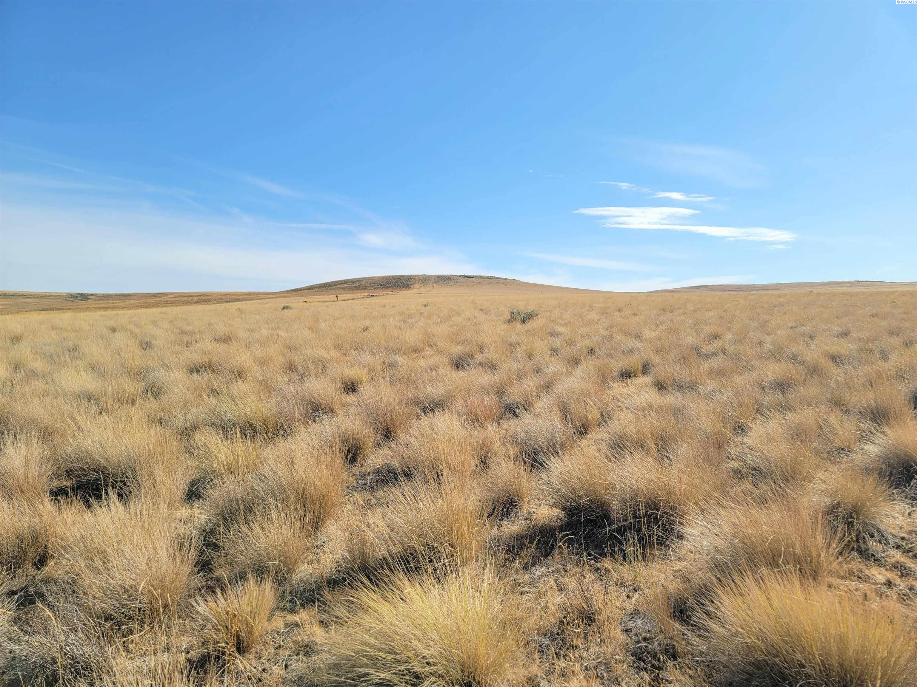 Homes for sale in Mabton, WA | 17 Turpin Rd (Lot 7), Mabton, WA 98935 | MLS# 290168